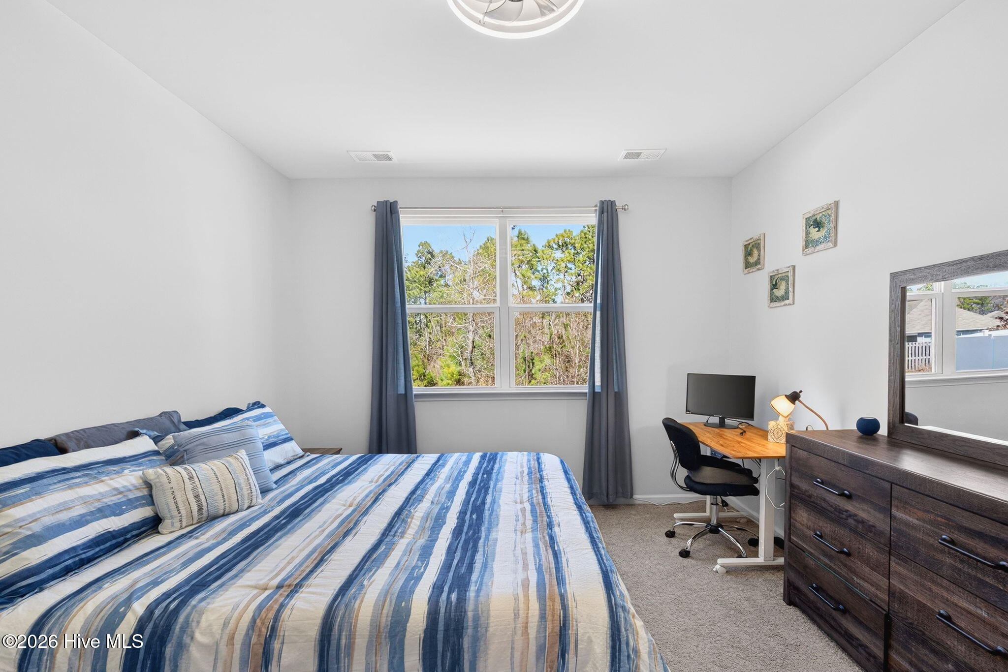 100556971 | Photo 23