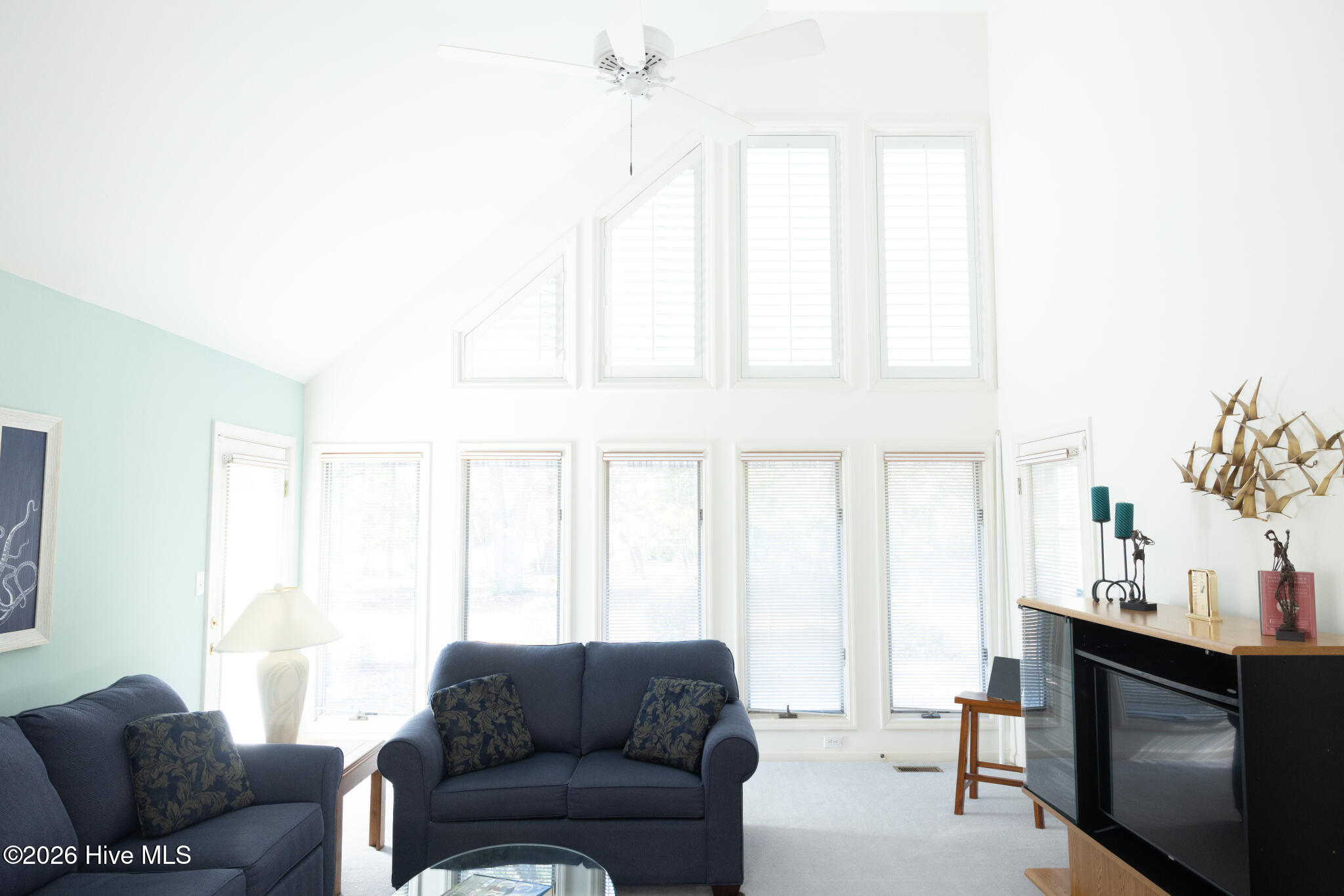 100547125 | Photo 11