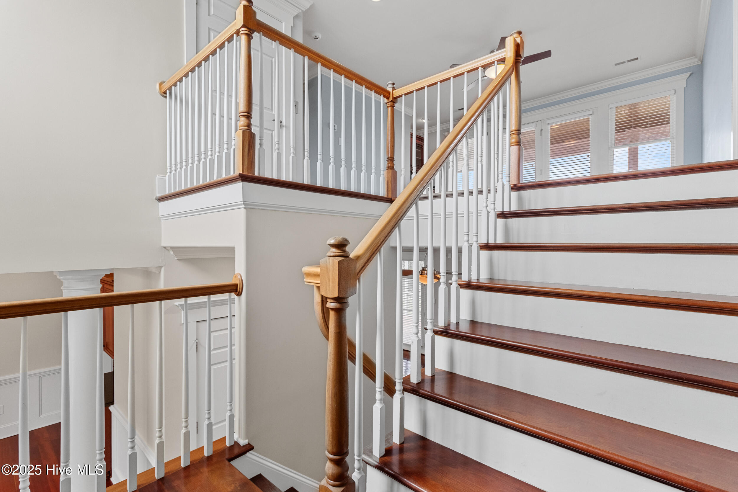 100538767 | Photo 25