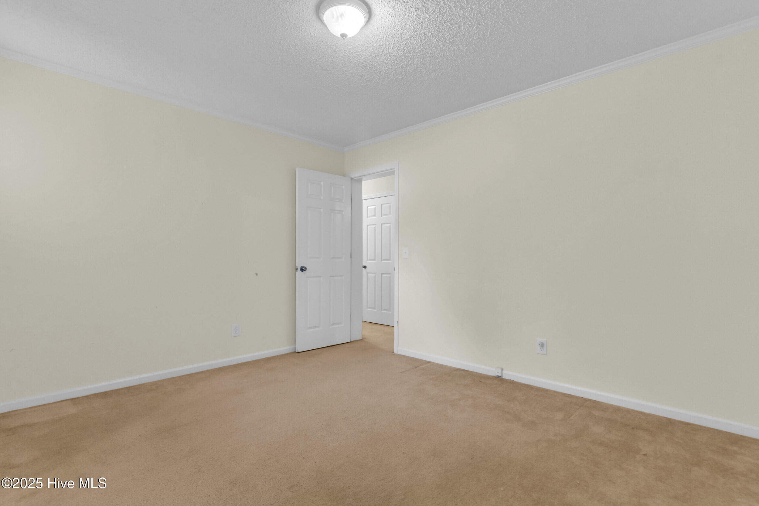 100537438 | Photo 16