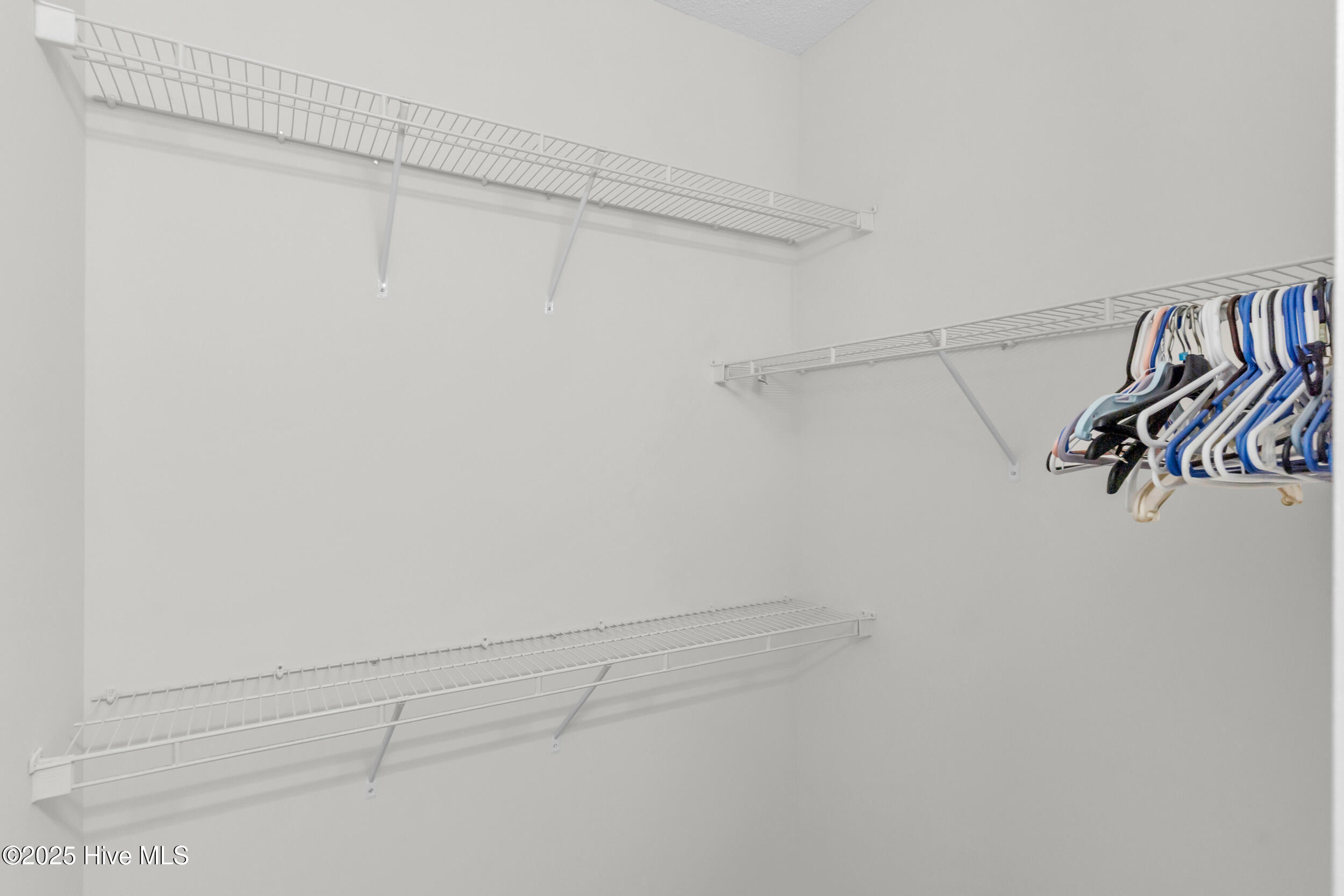 100546029 | Photo 24