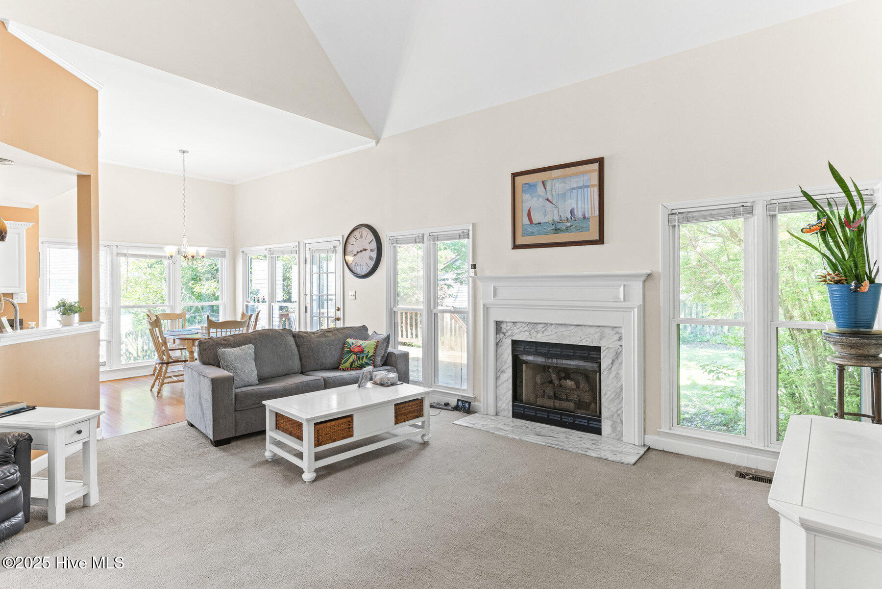 100505996 | Photo 10