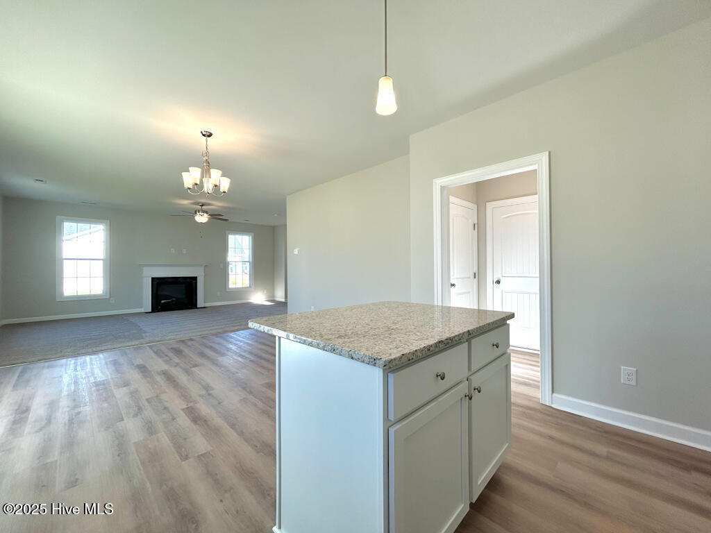 100522229 | Photo 22