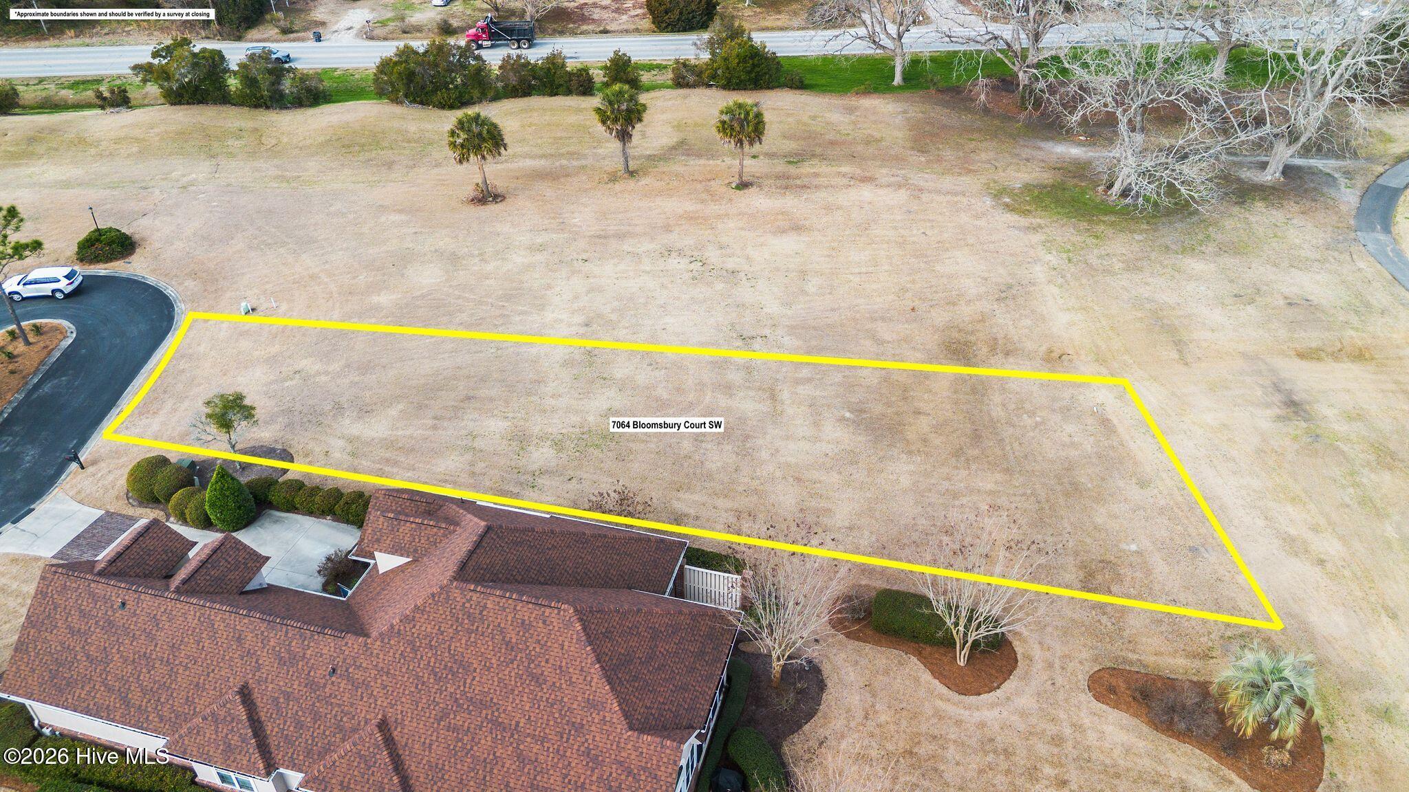 100555855 | Photo 18