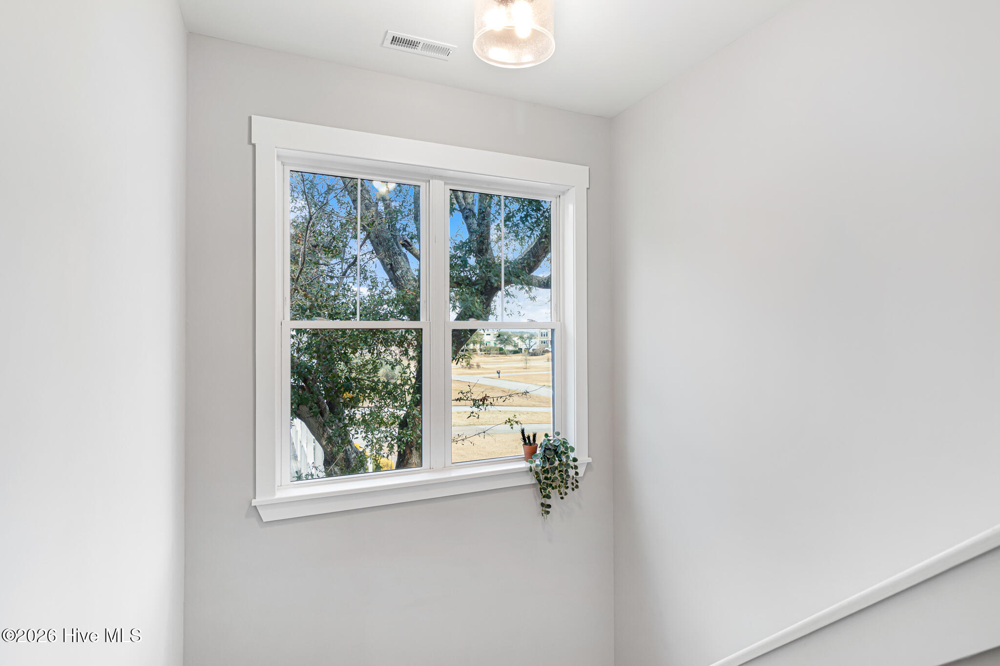 100556315 | Photo 32