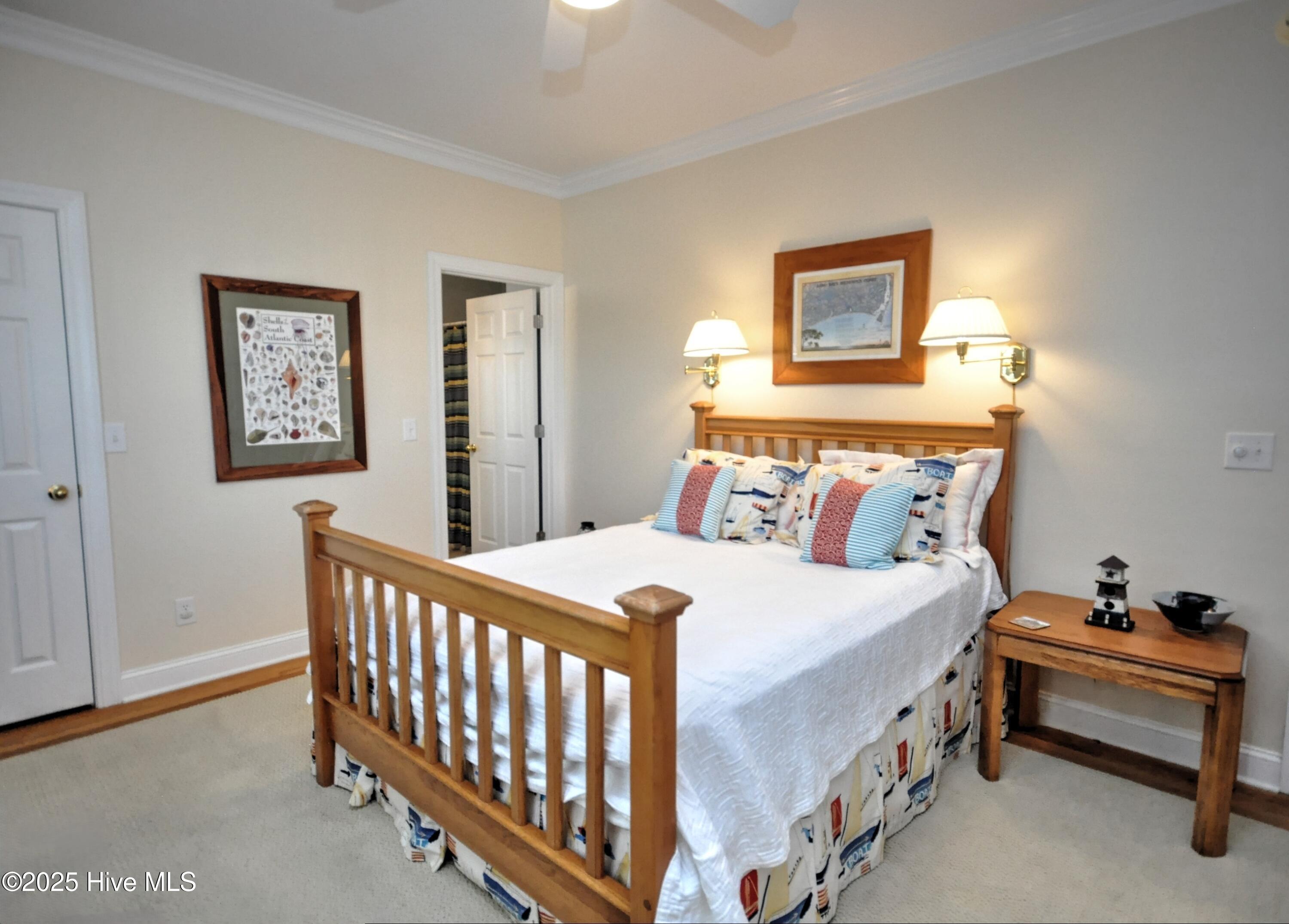 100537196 | Photo 38