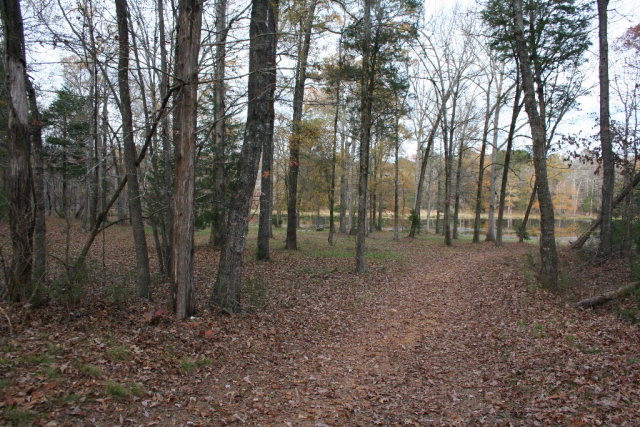 Double Branches Road, Lincolnton, GA 30817 Listing Photo  6