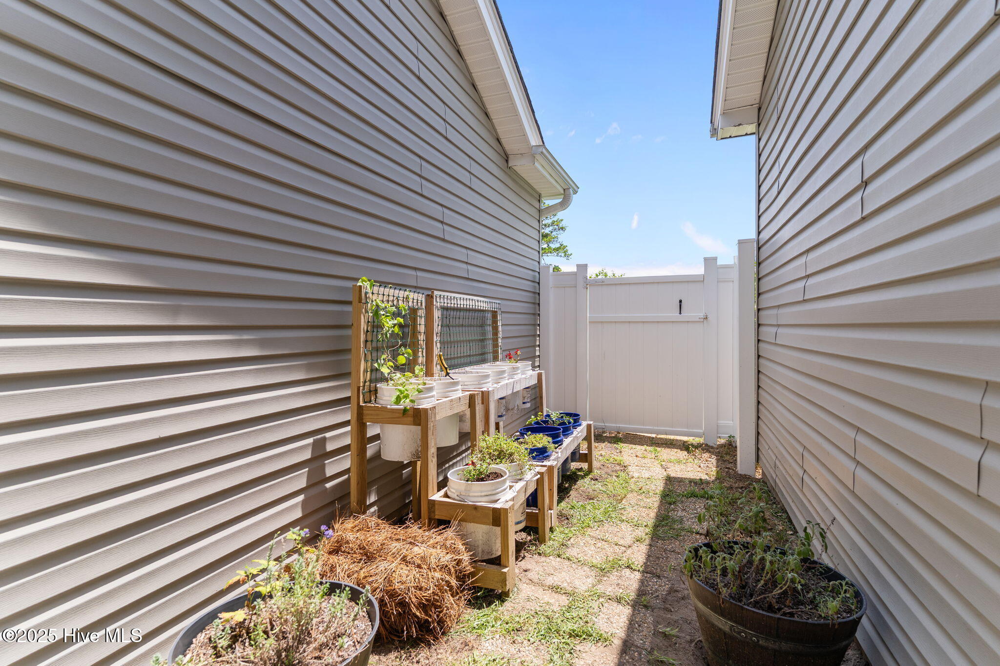 100522397 | Photo 30