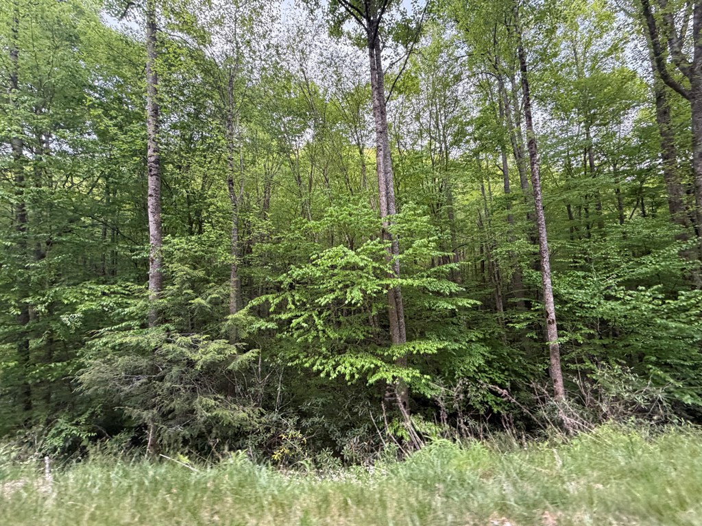 Exterior photo of 2 lots Warrior Way Road, Andrews, NC 28781. MLS: 98544142