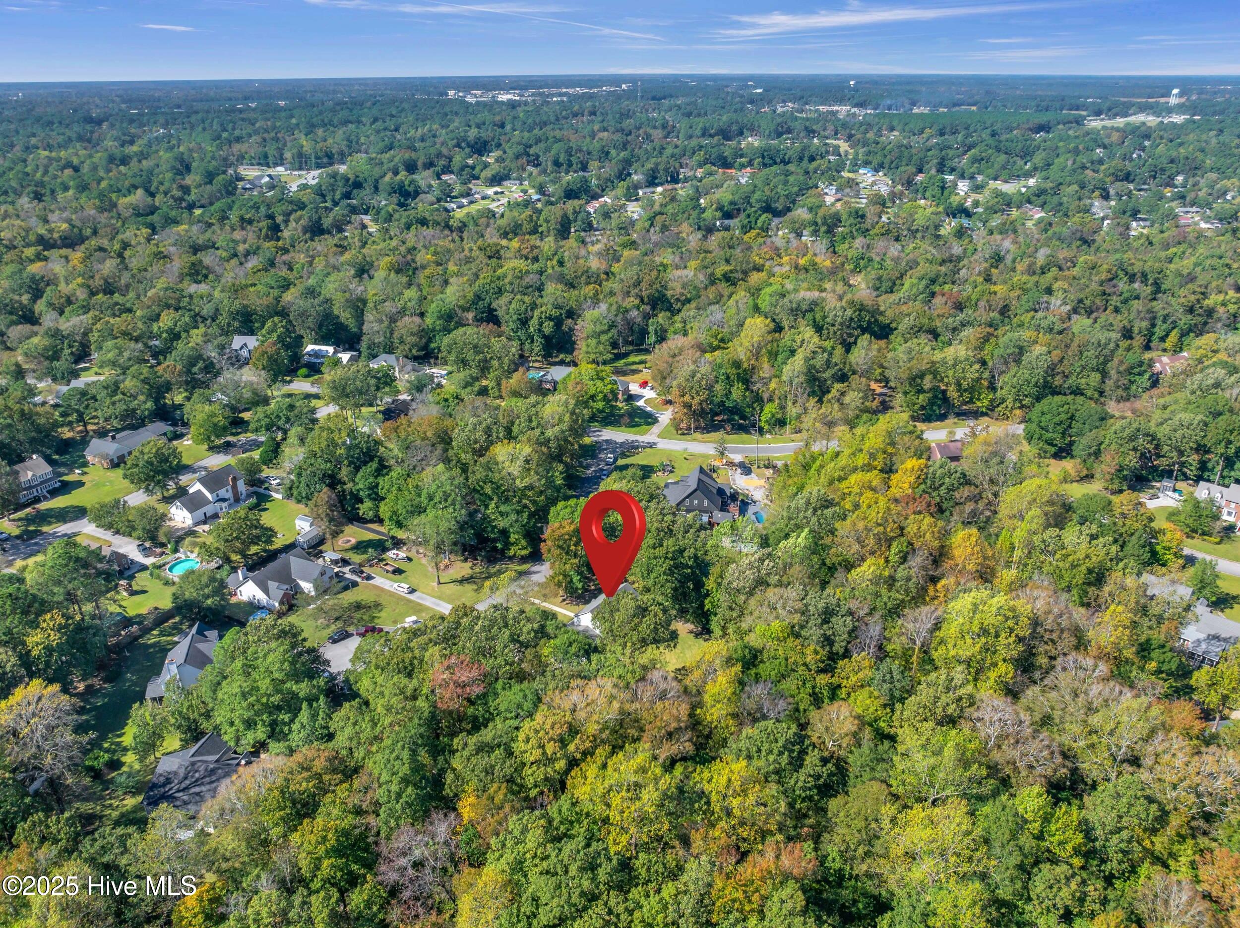 100537583 | Photo 47