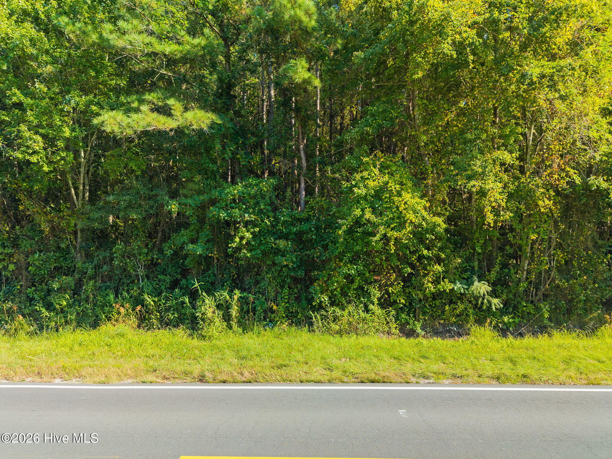 100607501 | Photo 3