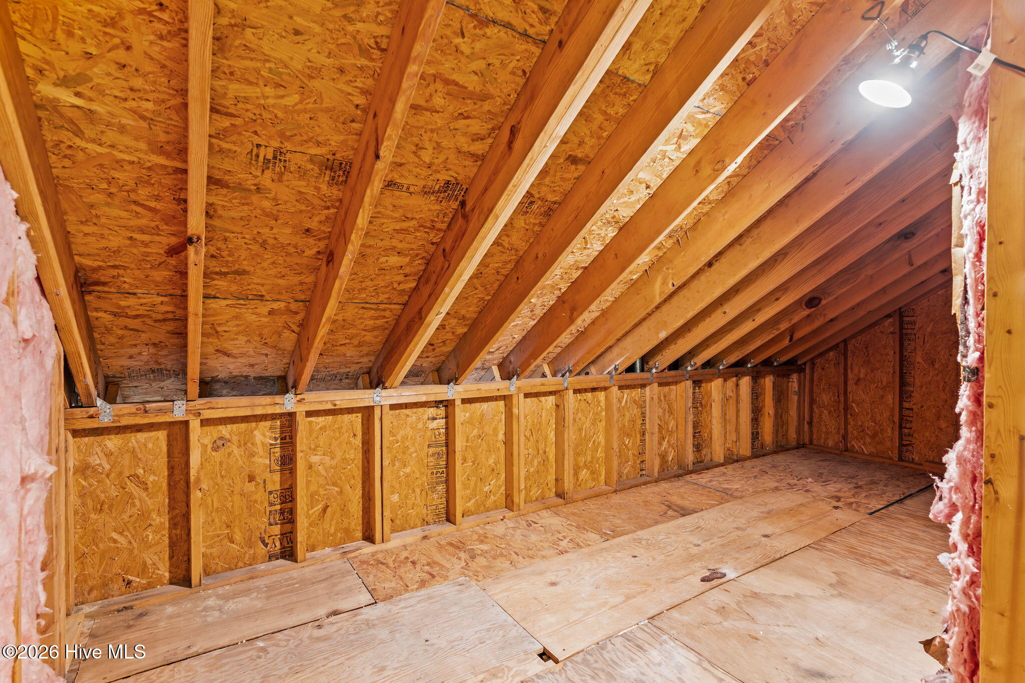 100562796 | Photo 33