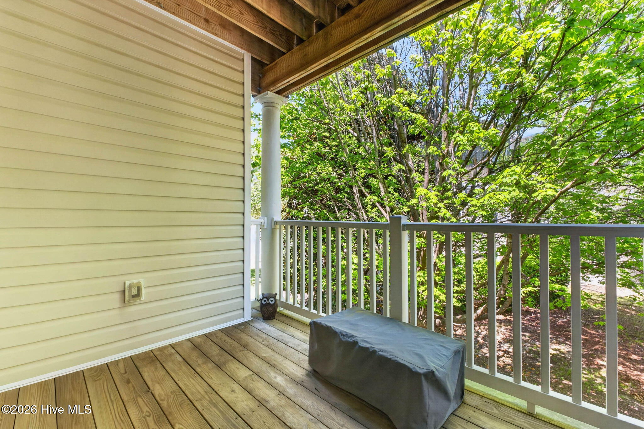 100562066 | Photo 22