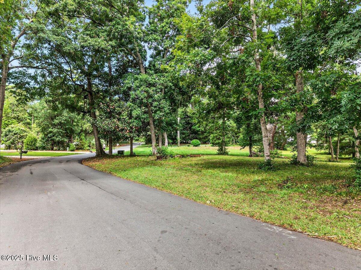 100481570 | Photo 17