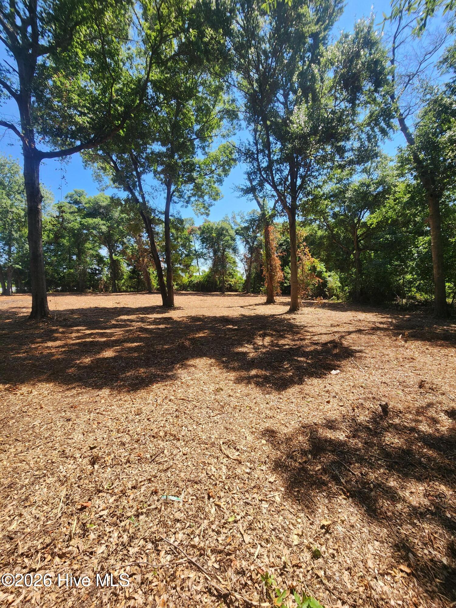 100585778 | Photo 11