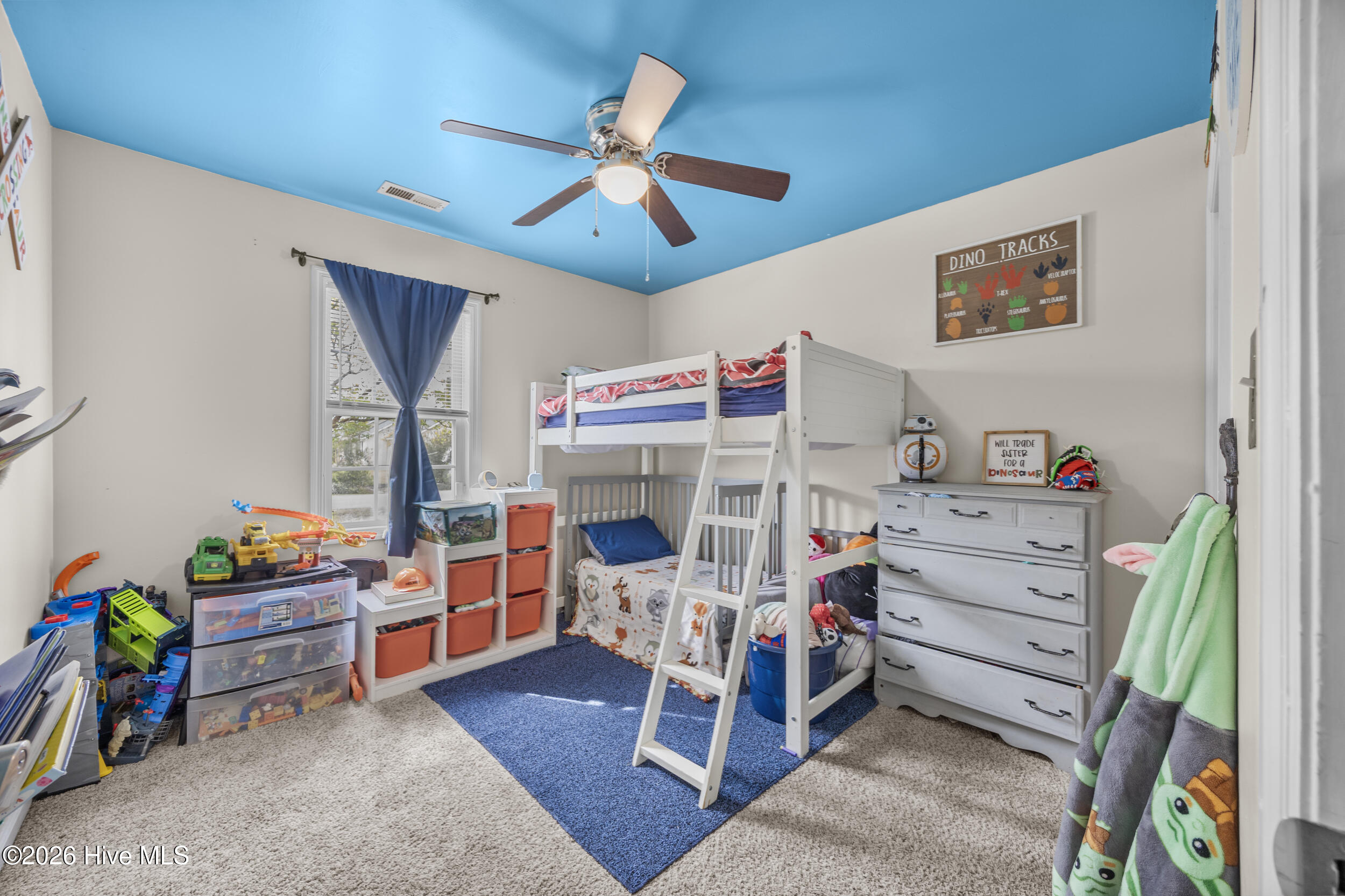 100565830 | Photo 22