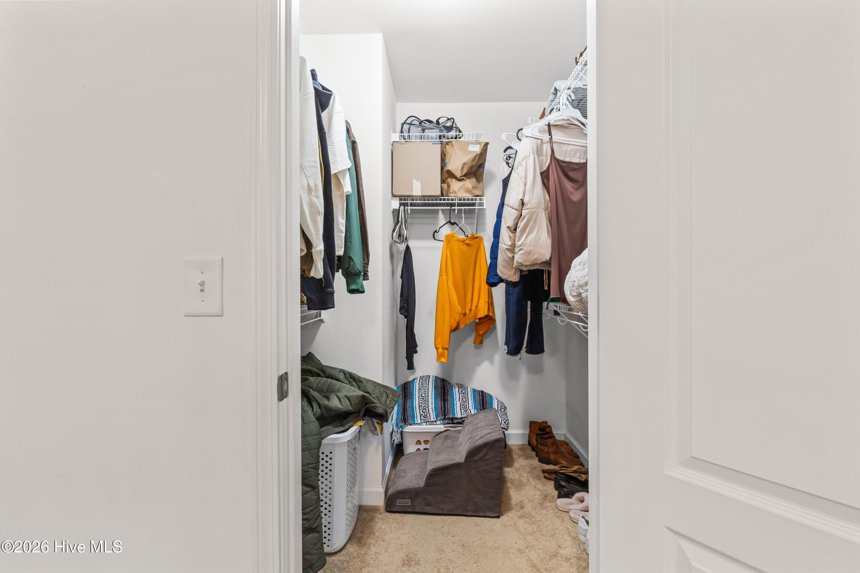 100557178 | Photo 21