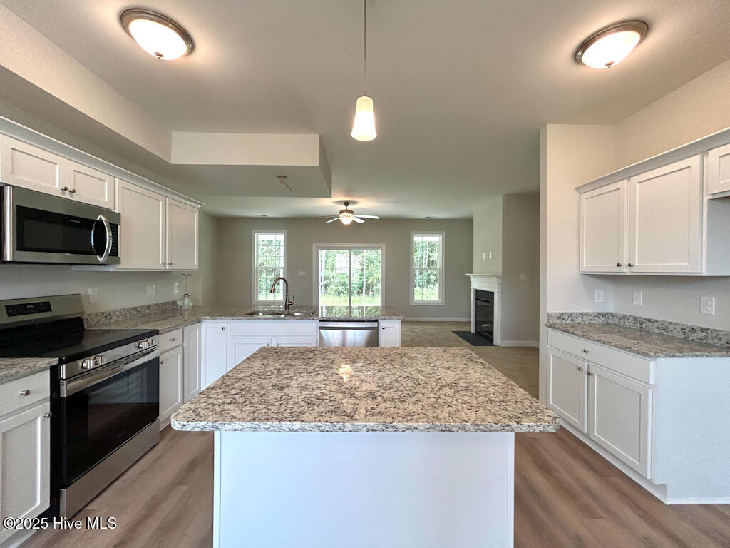 100513411 | Photo 24