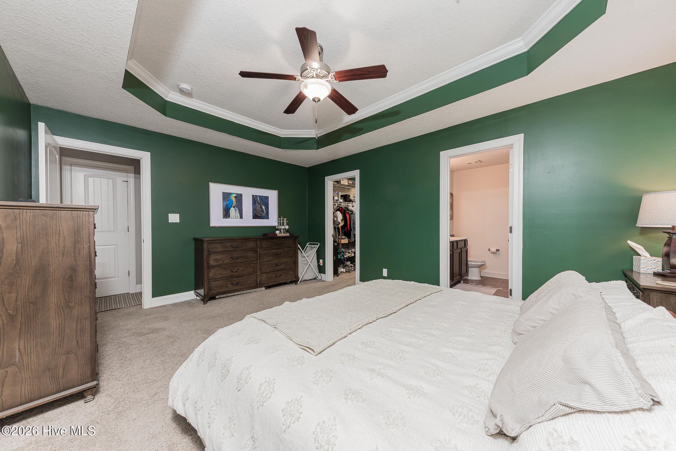 100558086 | Photo 20