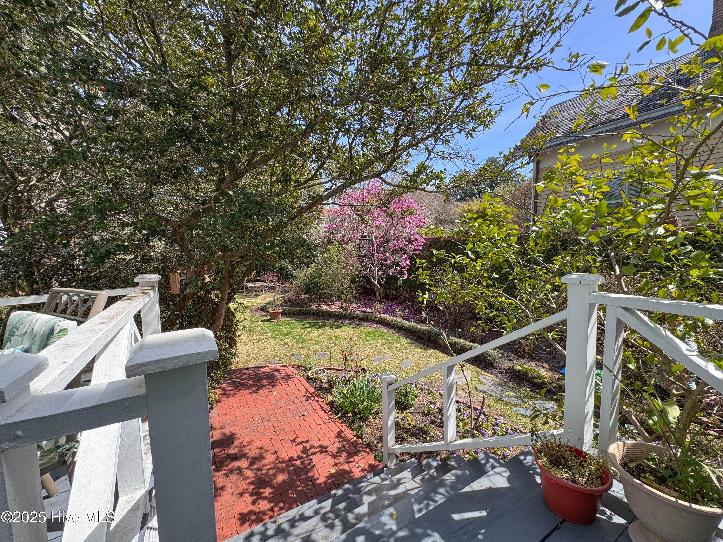 100501936 | Photo 85