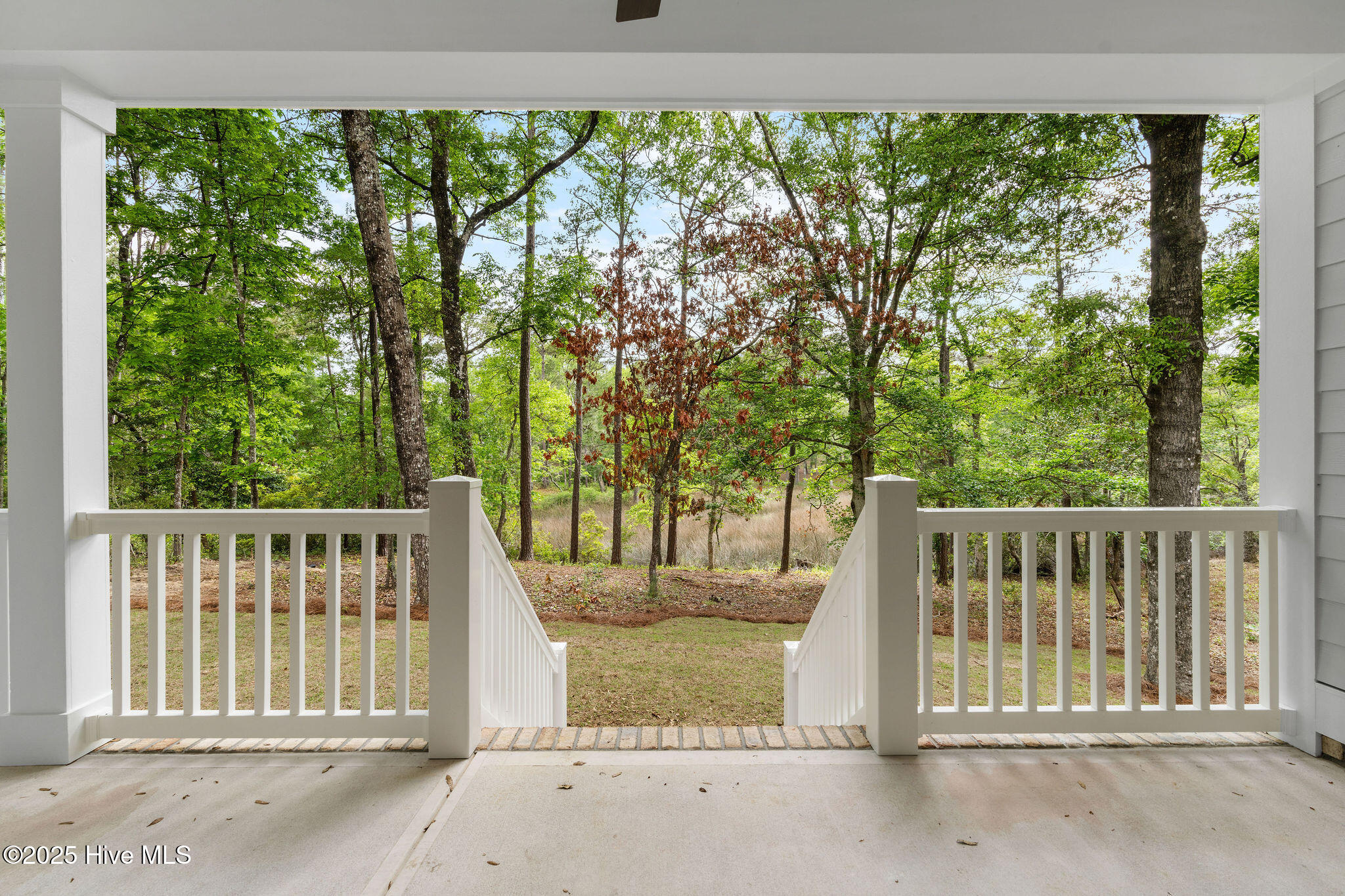 100524622 | Photo 54