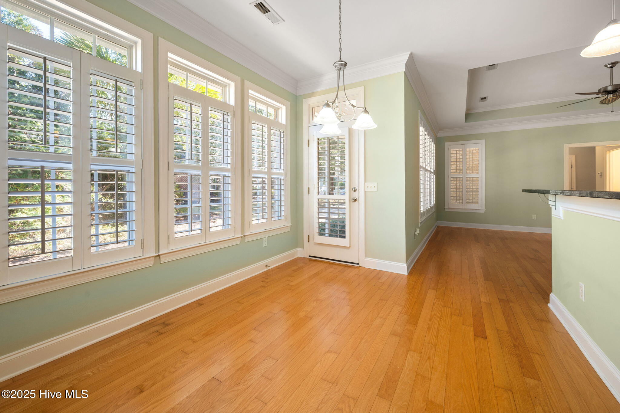 100538167 | Photo 10