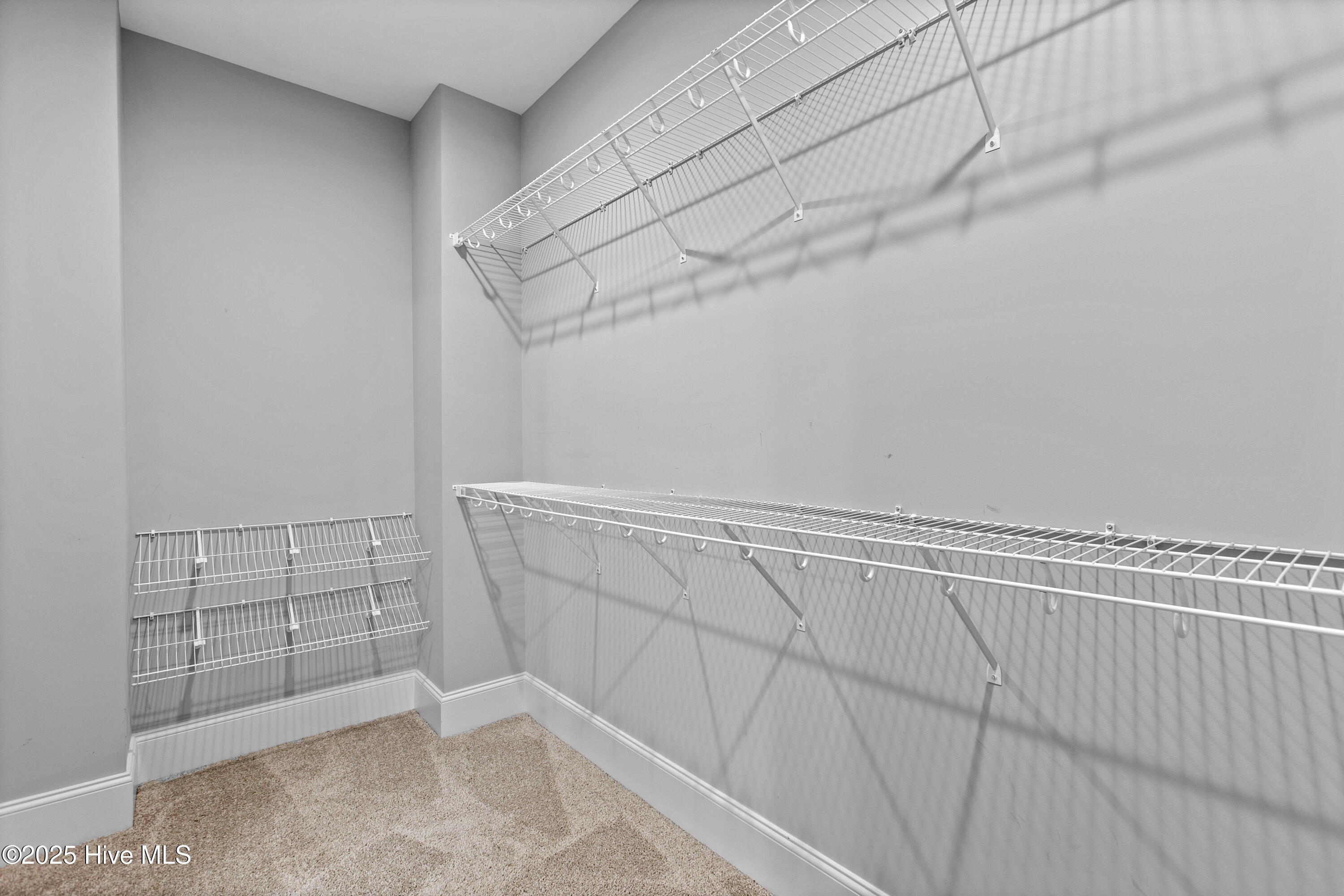 100569524 | Photo 18