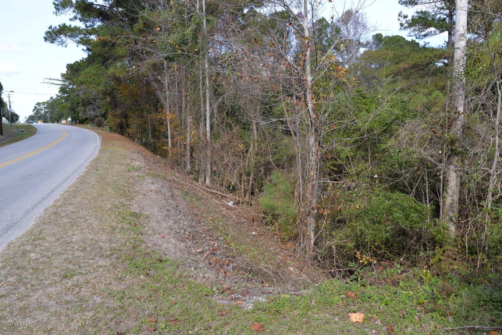 100492321 | Photo 15