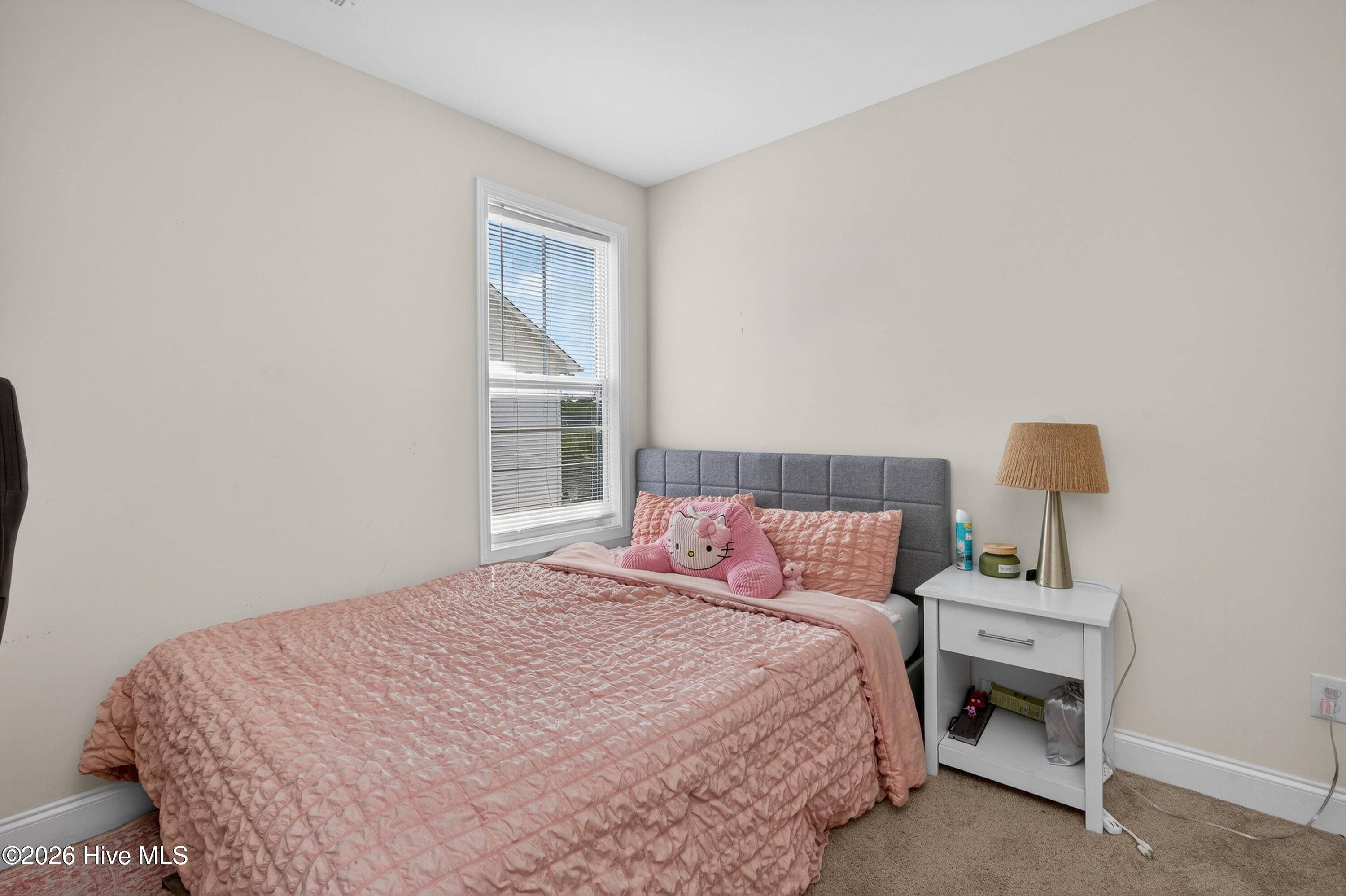 100565414 | Photo 33