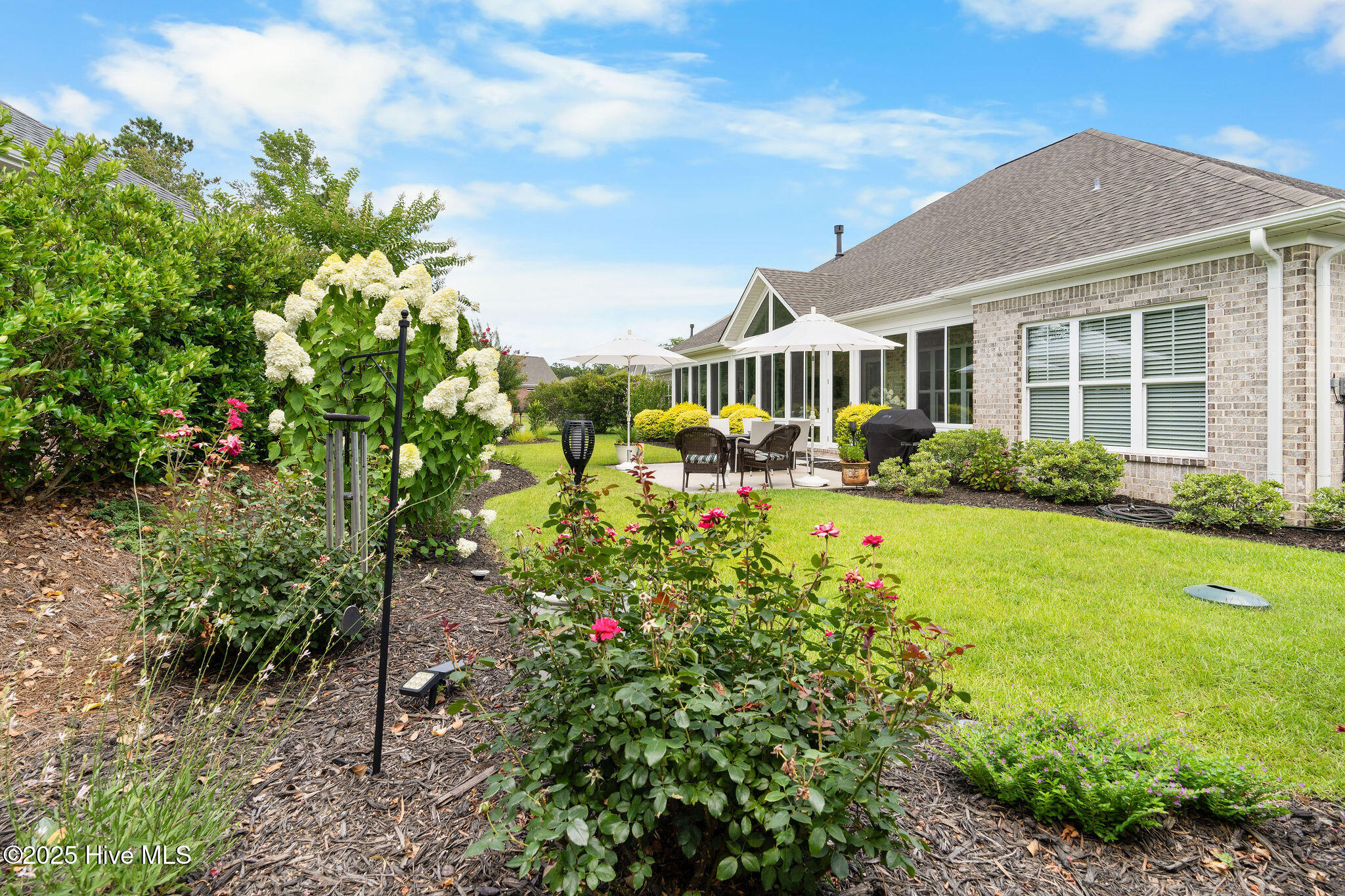 100517606 | Photo 62