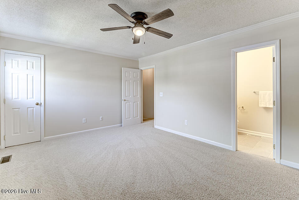 100565987 | Photo 23