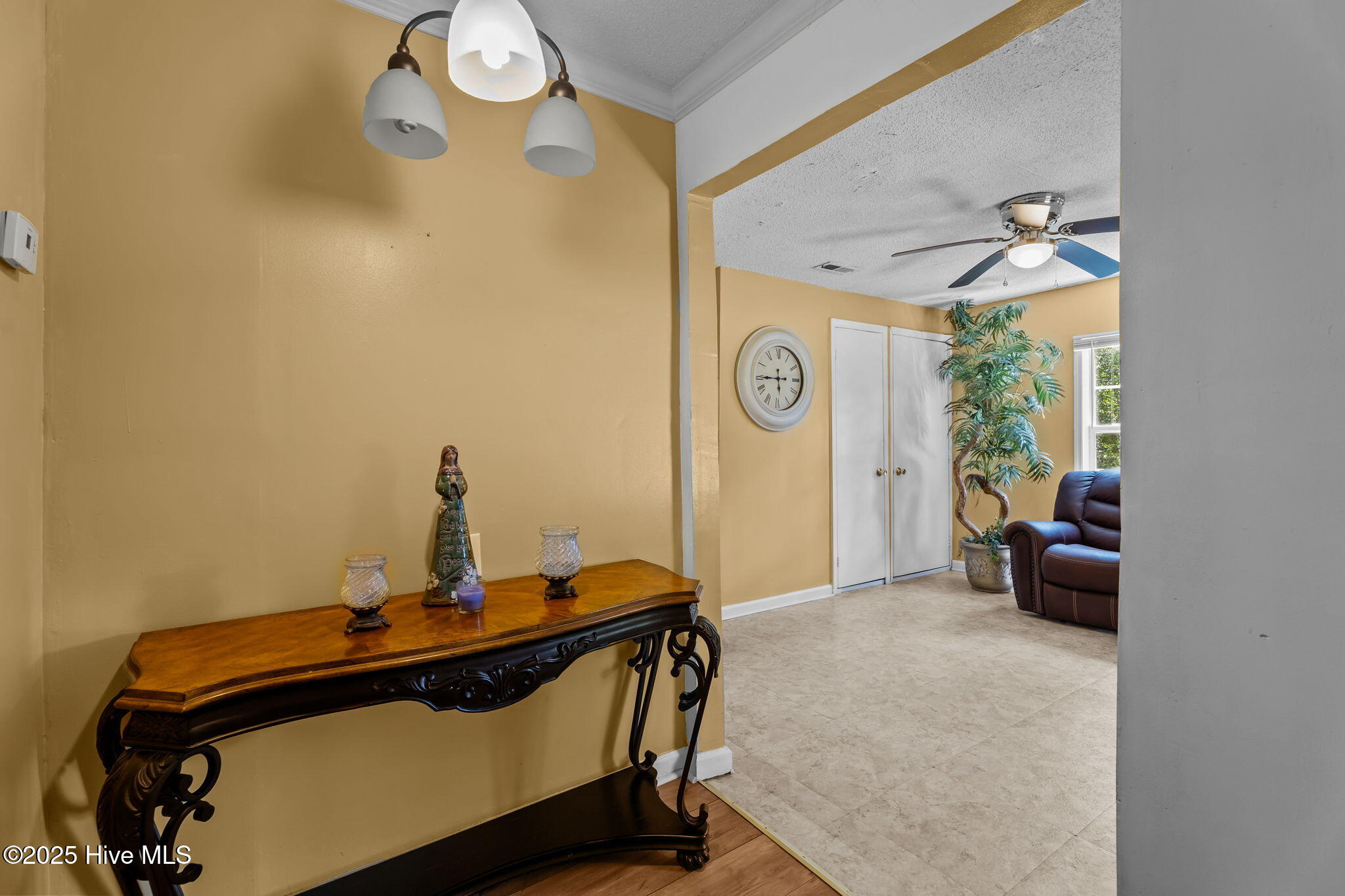 15-web-or-mls-DSC01438