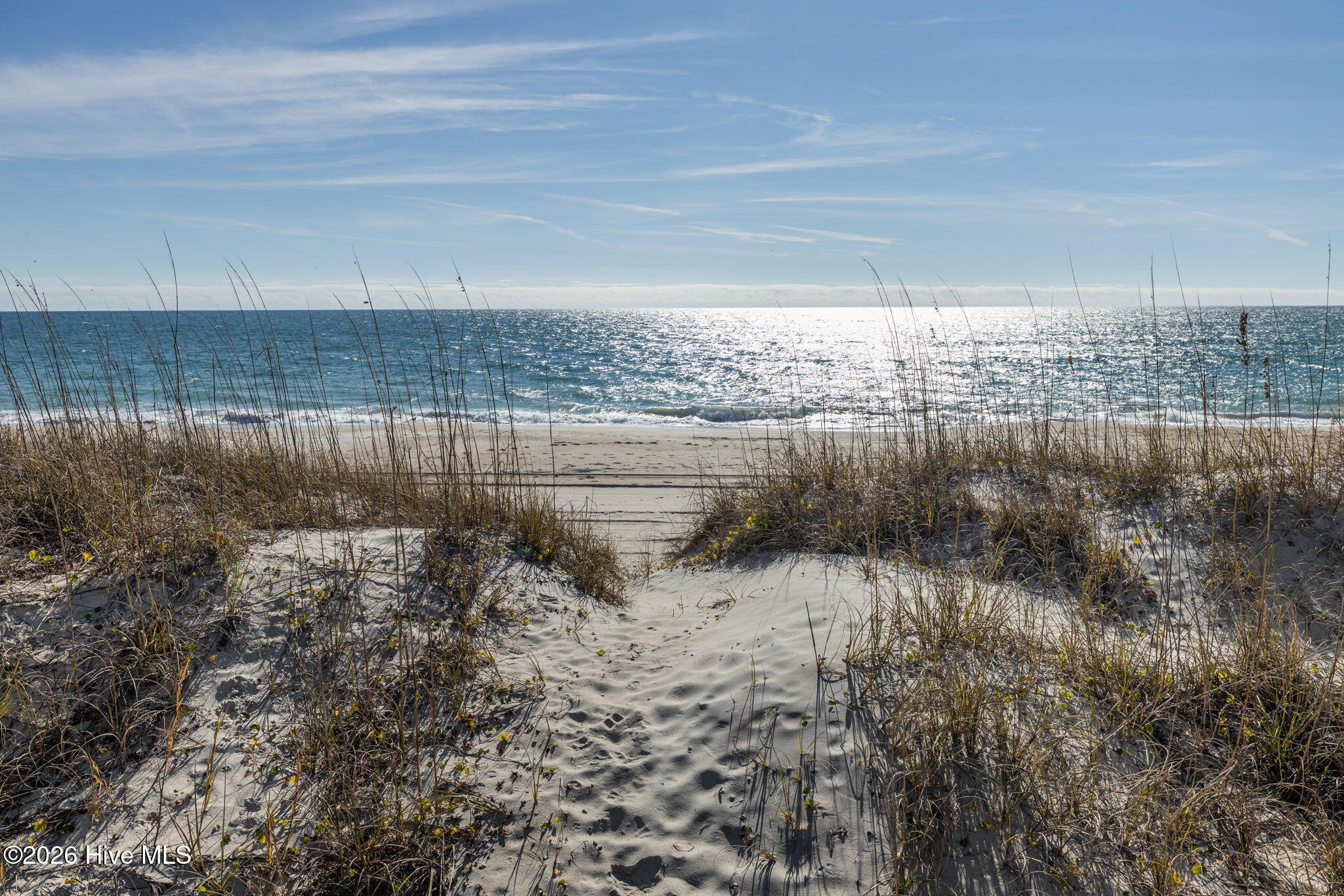 100552483 | Photo 36