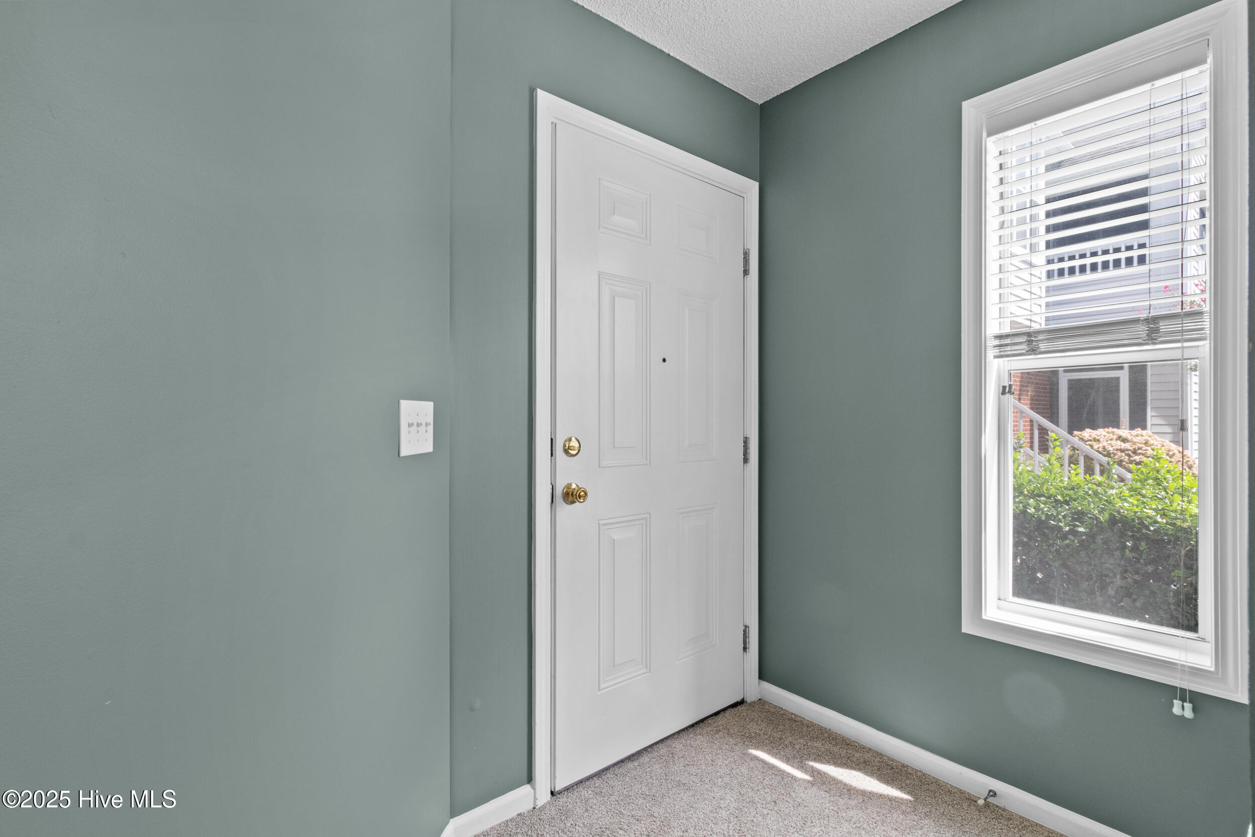 100528795 | Photo 17