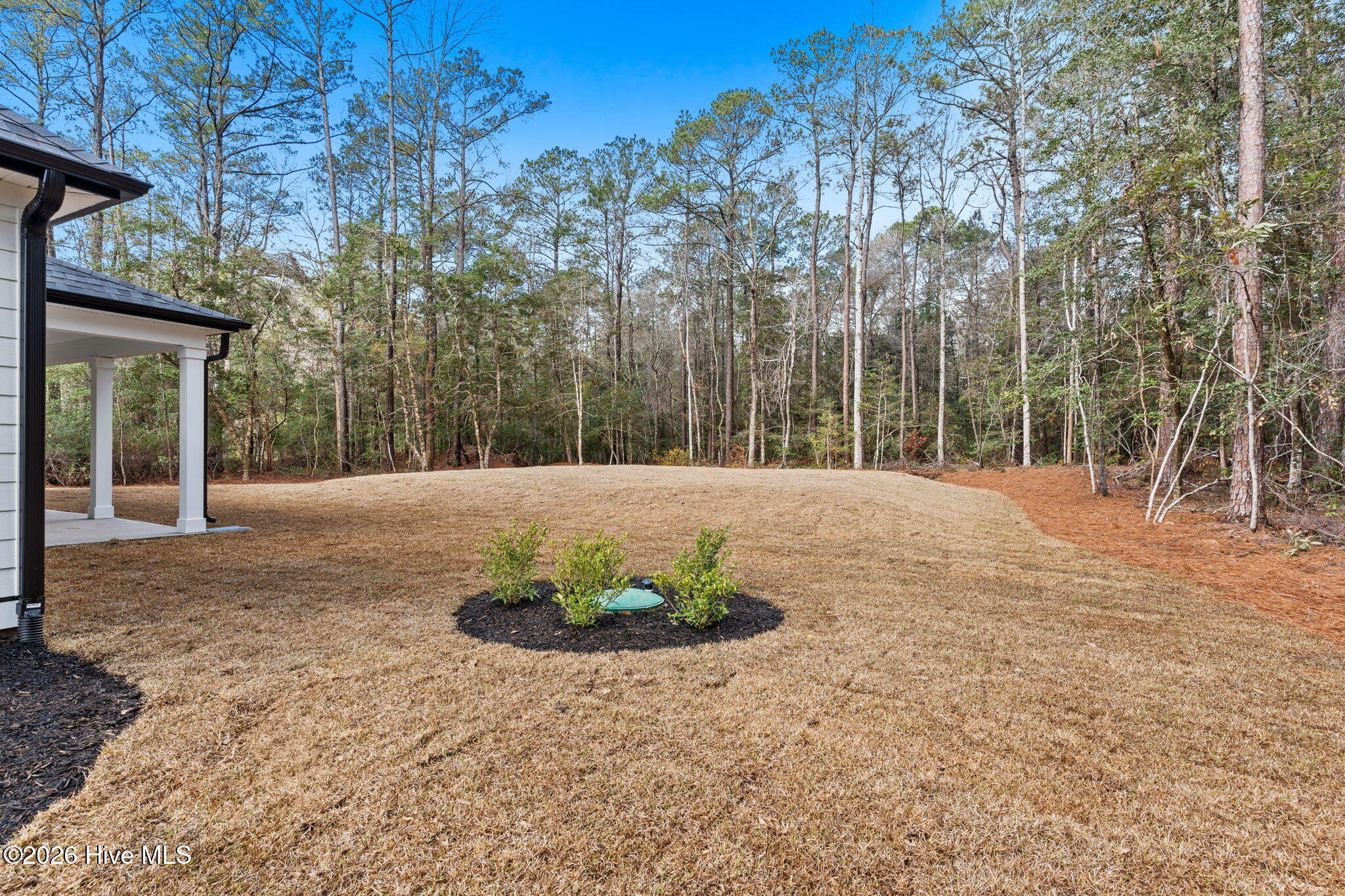 100557701 | Photo 54