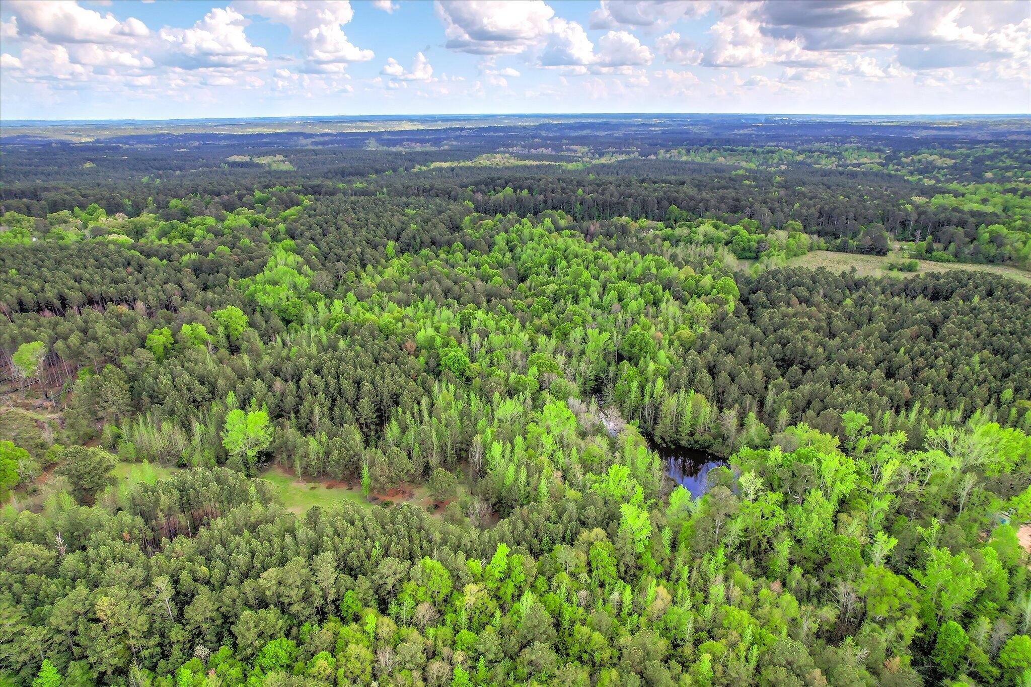 6995 Cobbham Road, Appling, GA, 30802