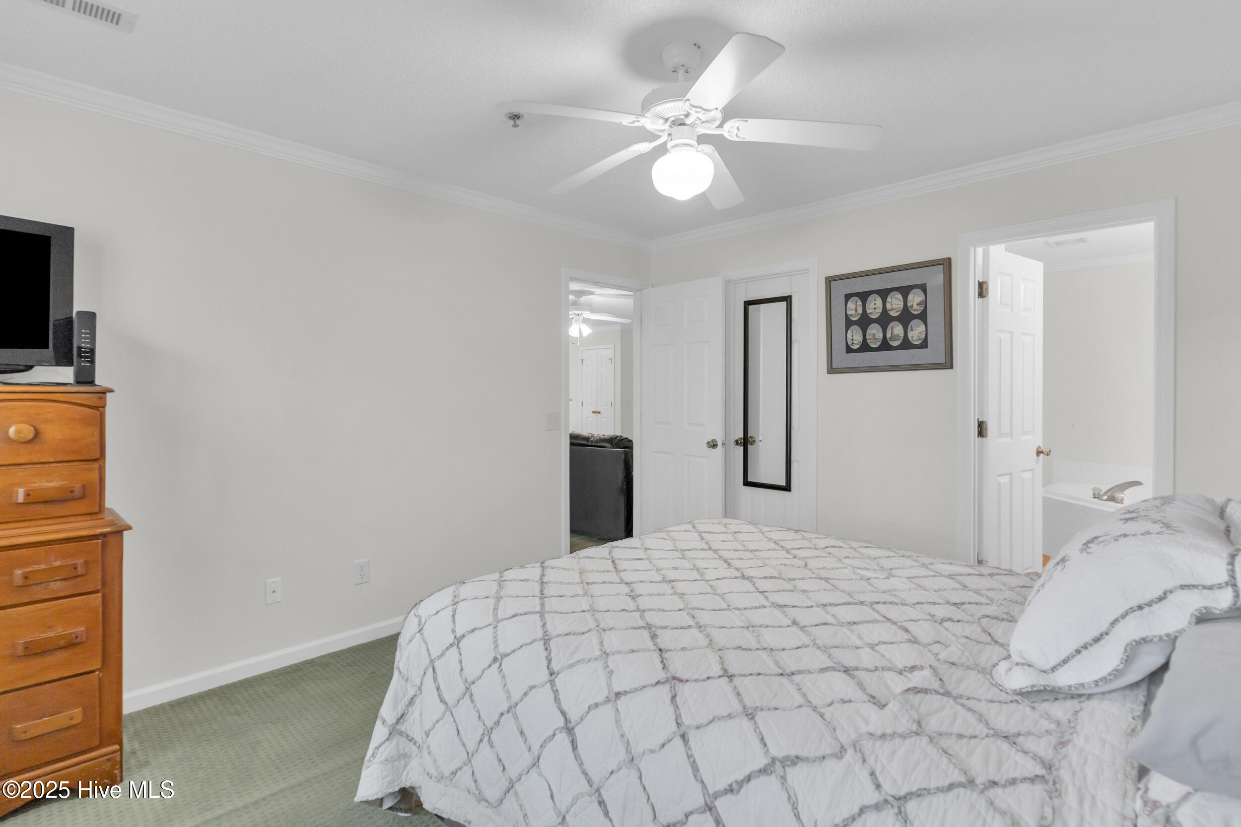 100539370 | Photo 15