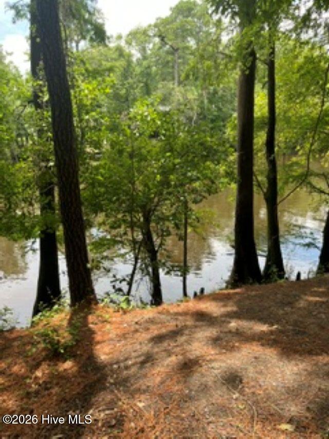 1st image of 13 Riverview Dr, Burgaw, NC 28425 | MLS# 100597494