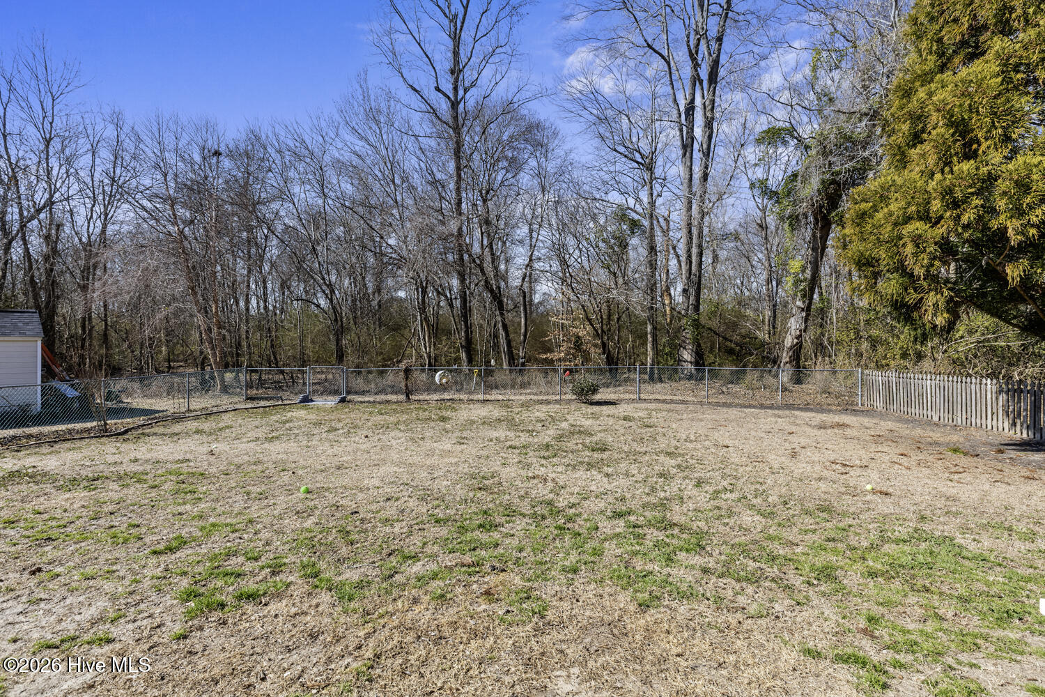 100555225 | Photo 33