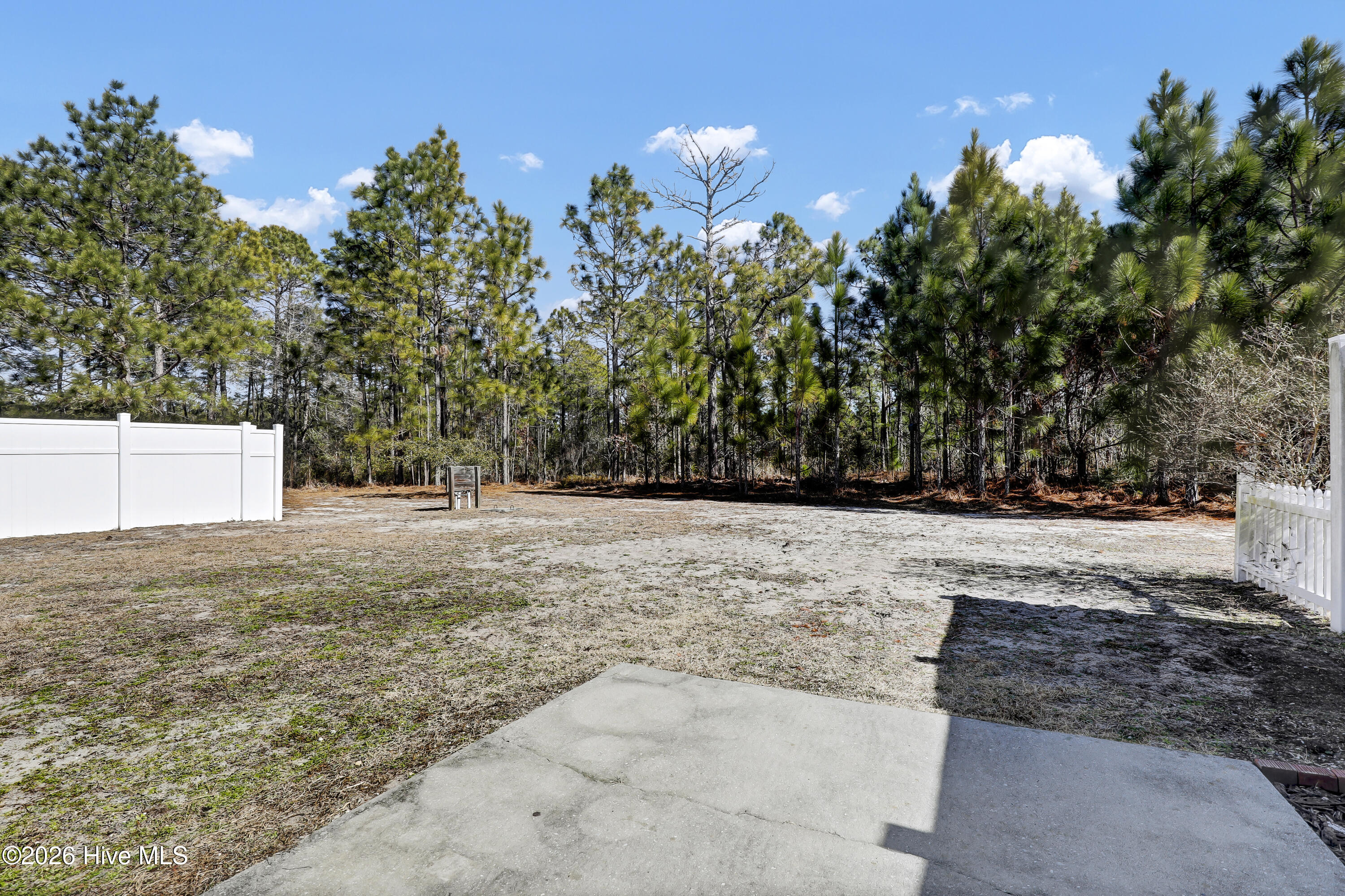 100554314 | Photo 24