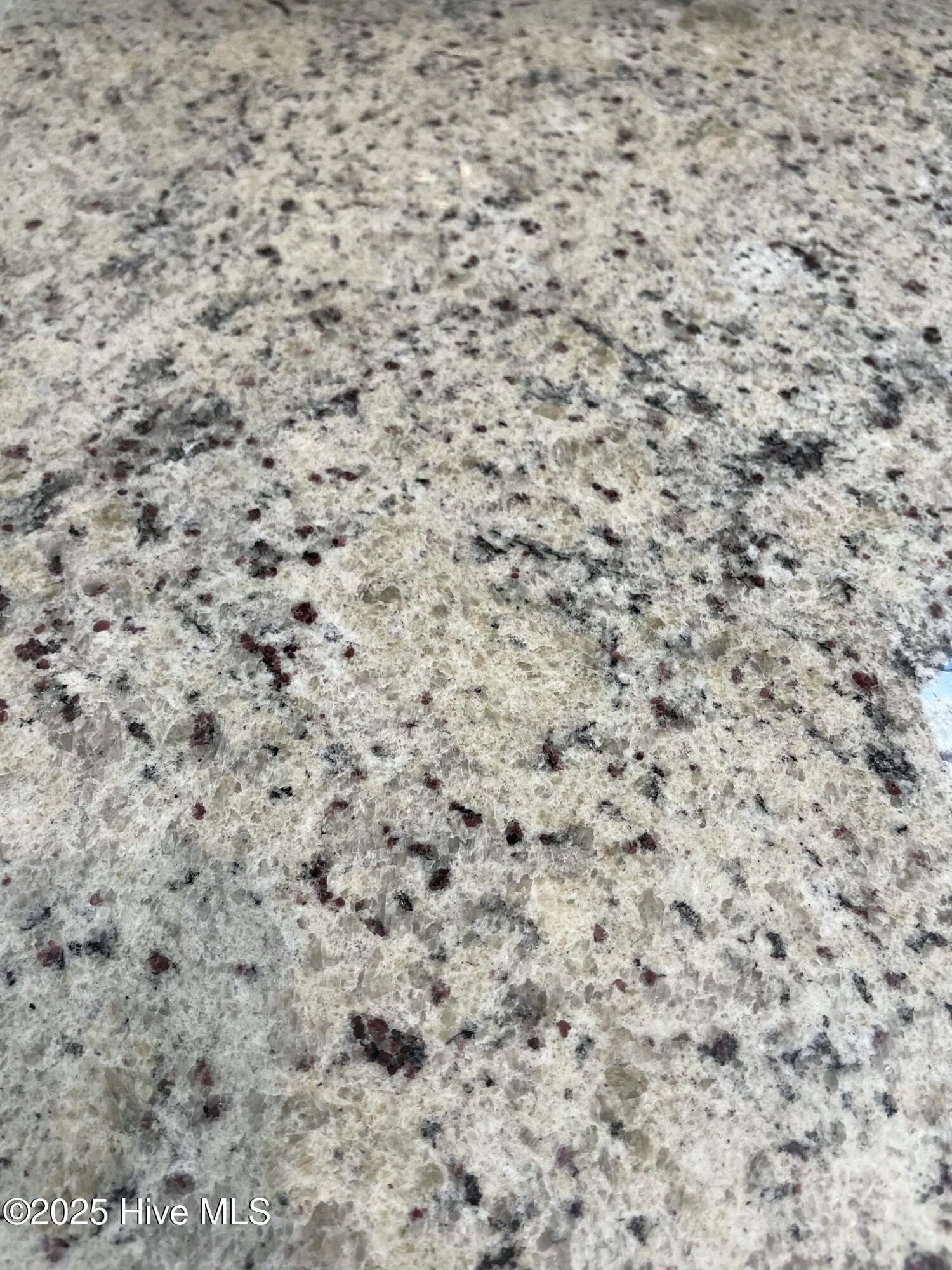 100425636 | Photo 26