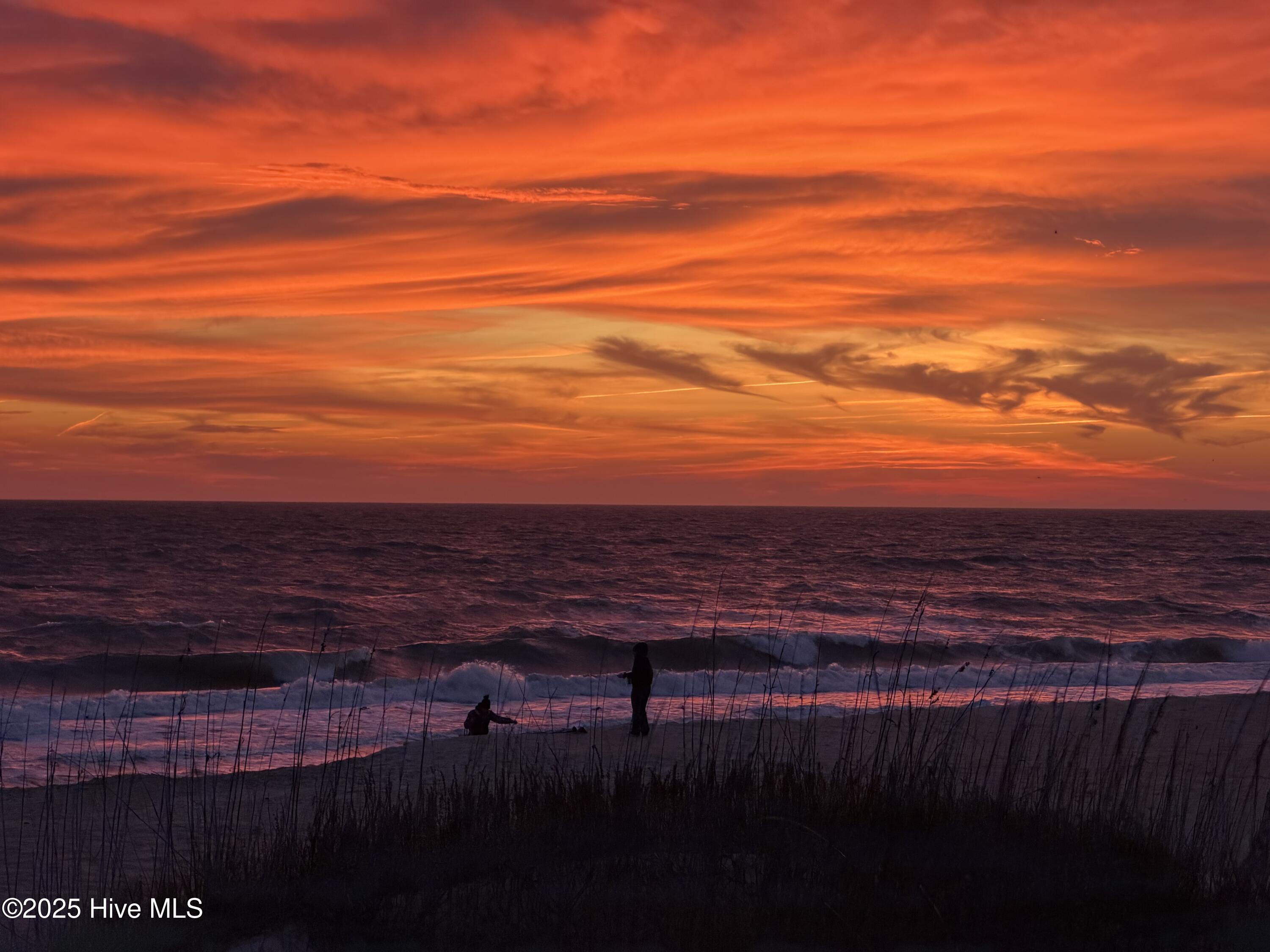 100542658 | Photo 54