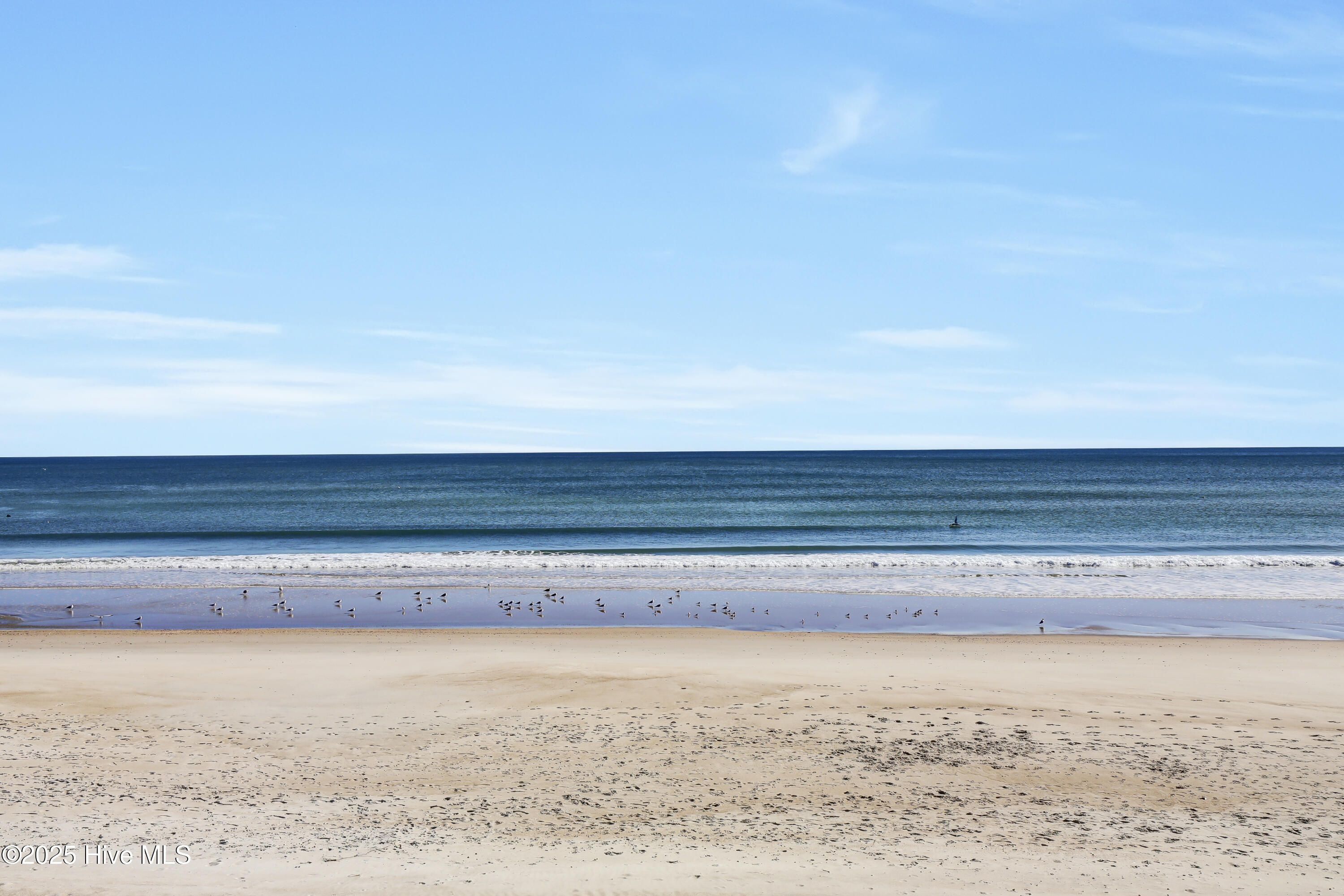 100518546 | Photo 10