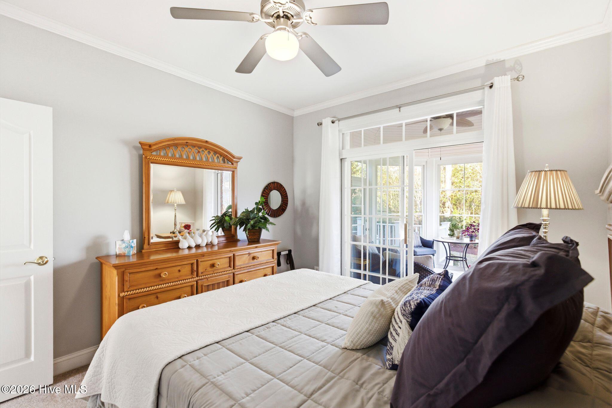 100564918 | Photo 48