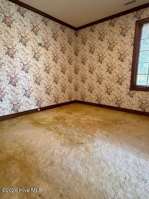 100551549 | Photo 27