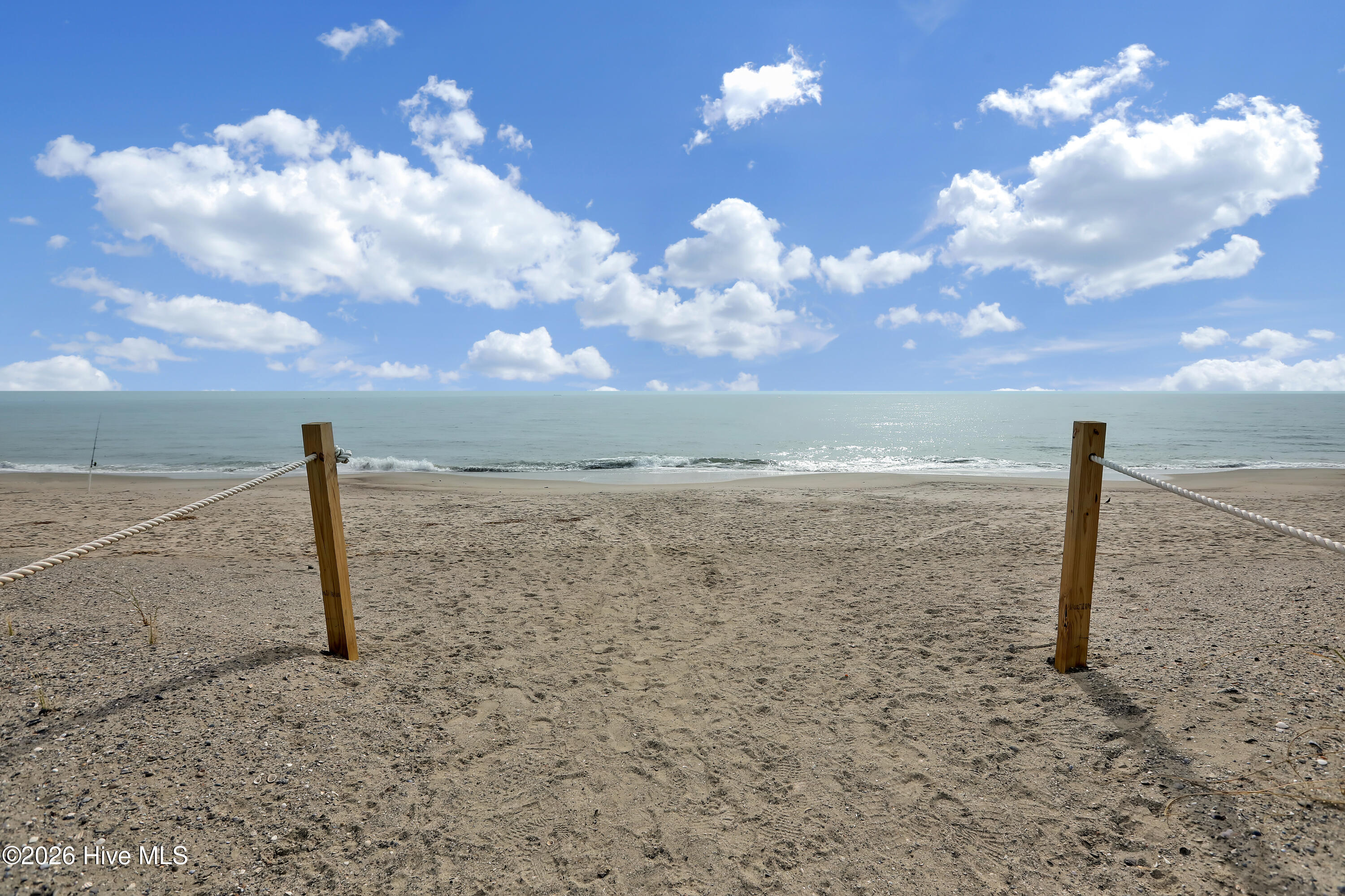 100564163 | Photo 45