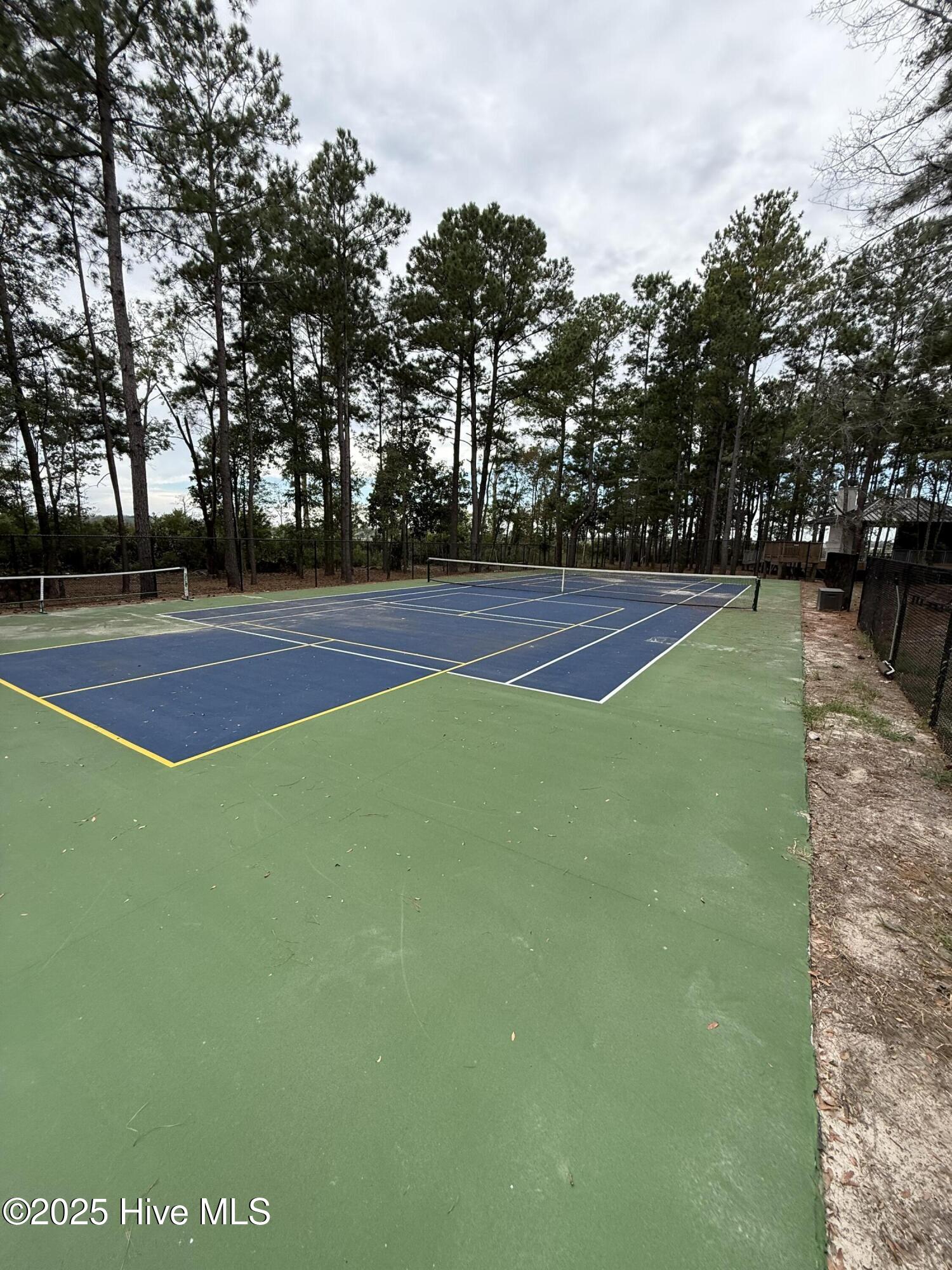 100531935 | Photo 15