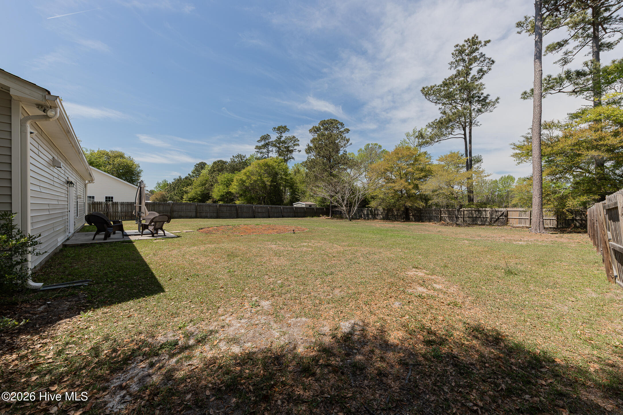 100566582 | Photo 38