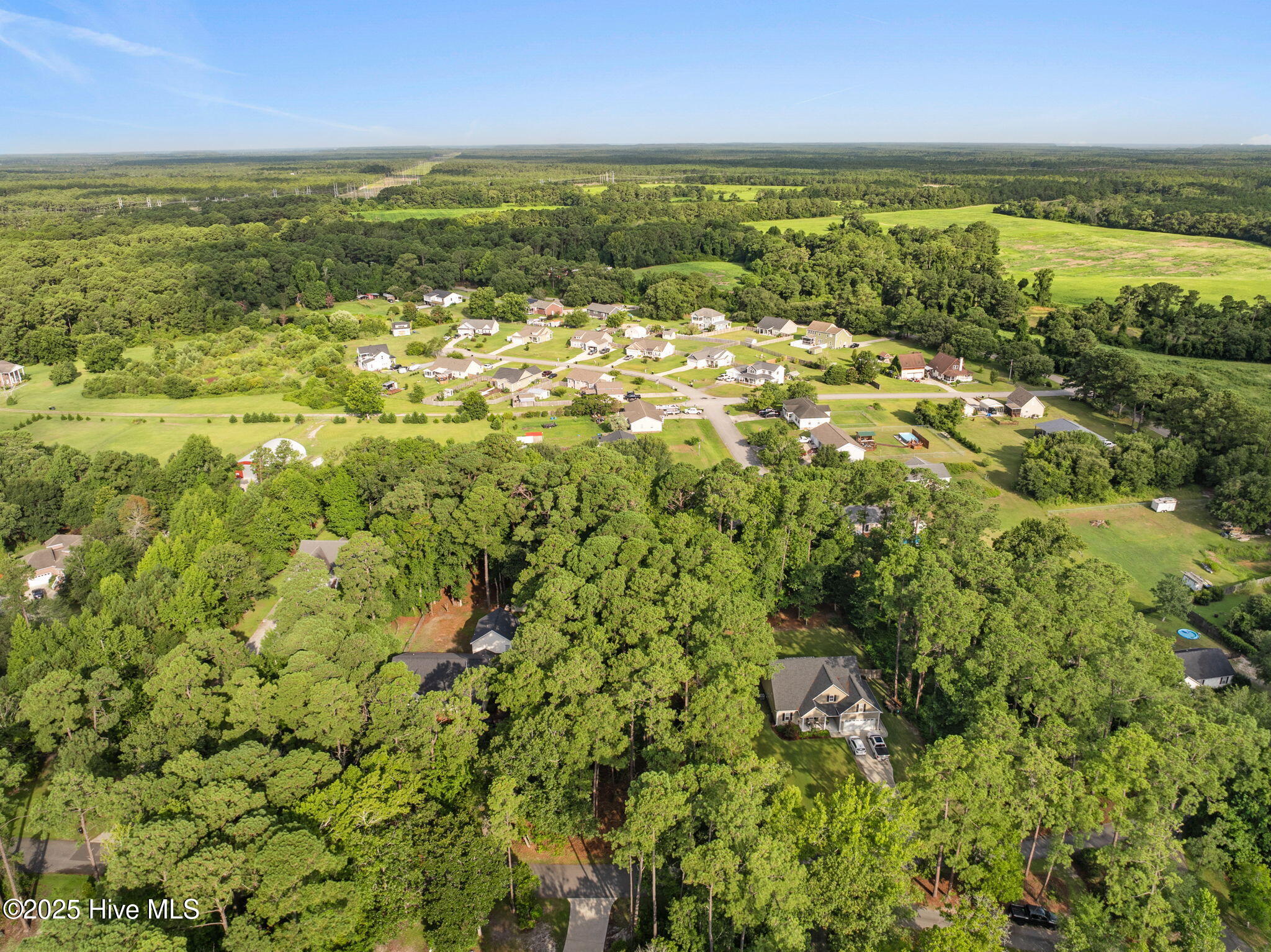 100520781 | Photo 20