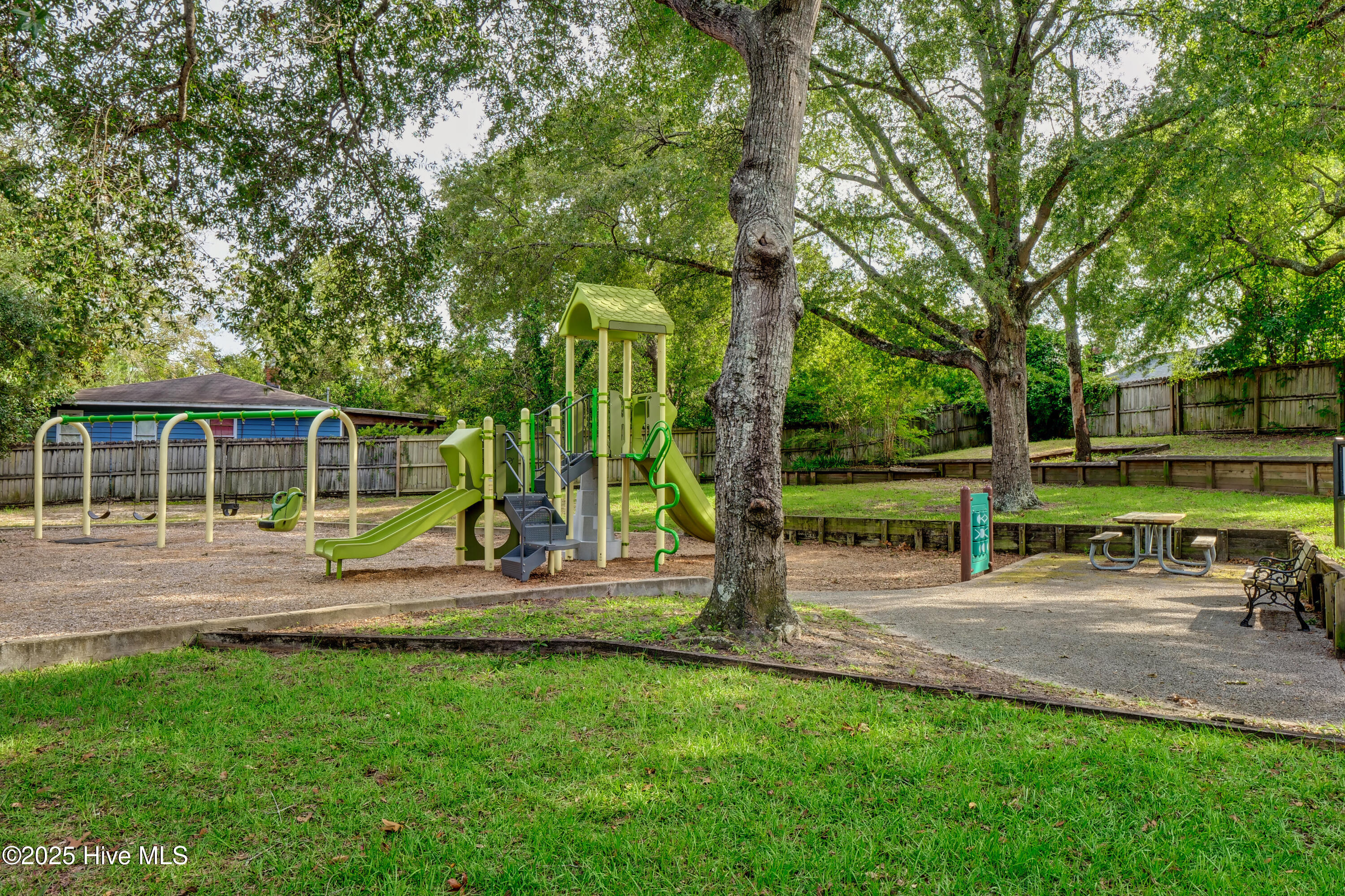 100531492 | Photo 35